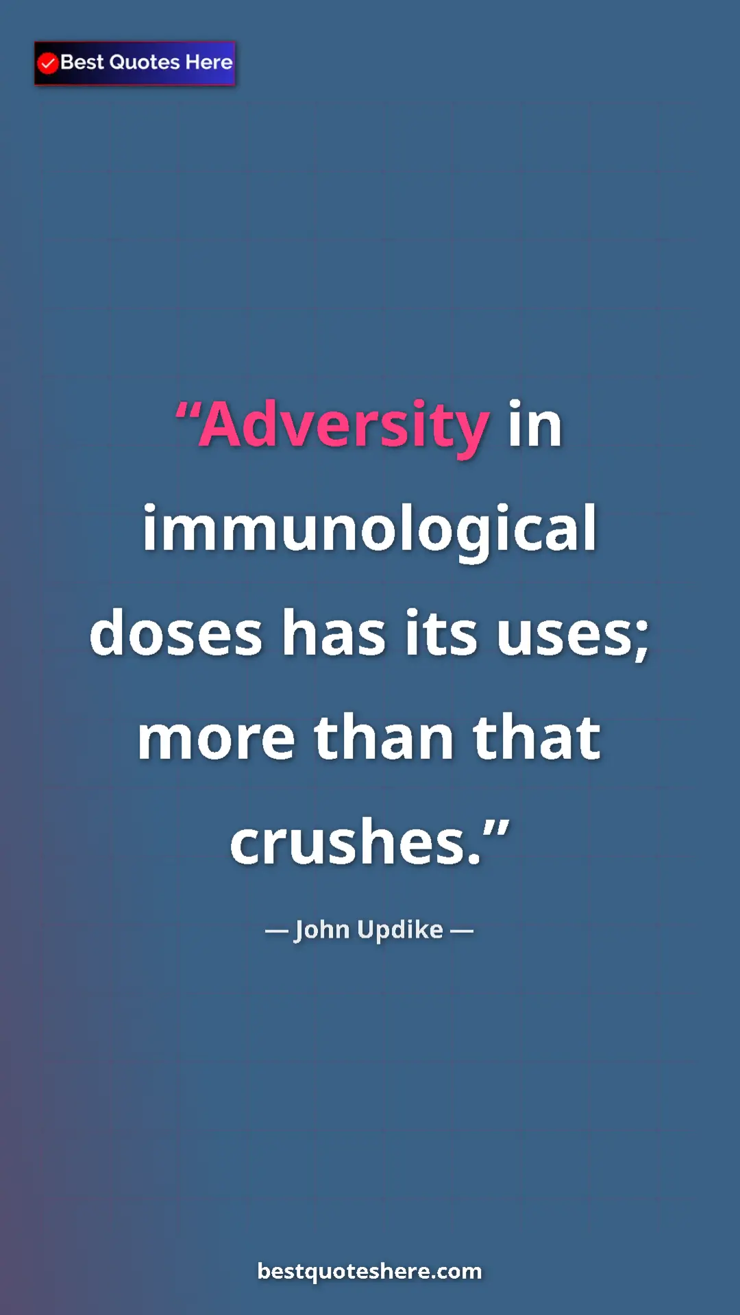 Pinterest quote poster by John Updike: "Adversity in immunological doses has its uses; more than..."