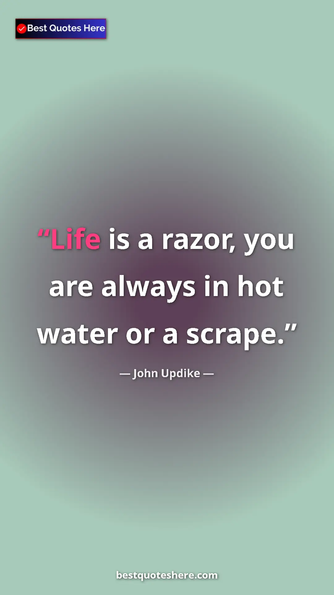 Pinterest quote poster by John Updike: "Life is a razor, you are always in hot water or a scrape."
