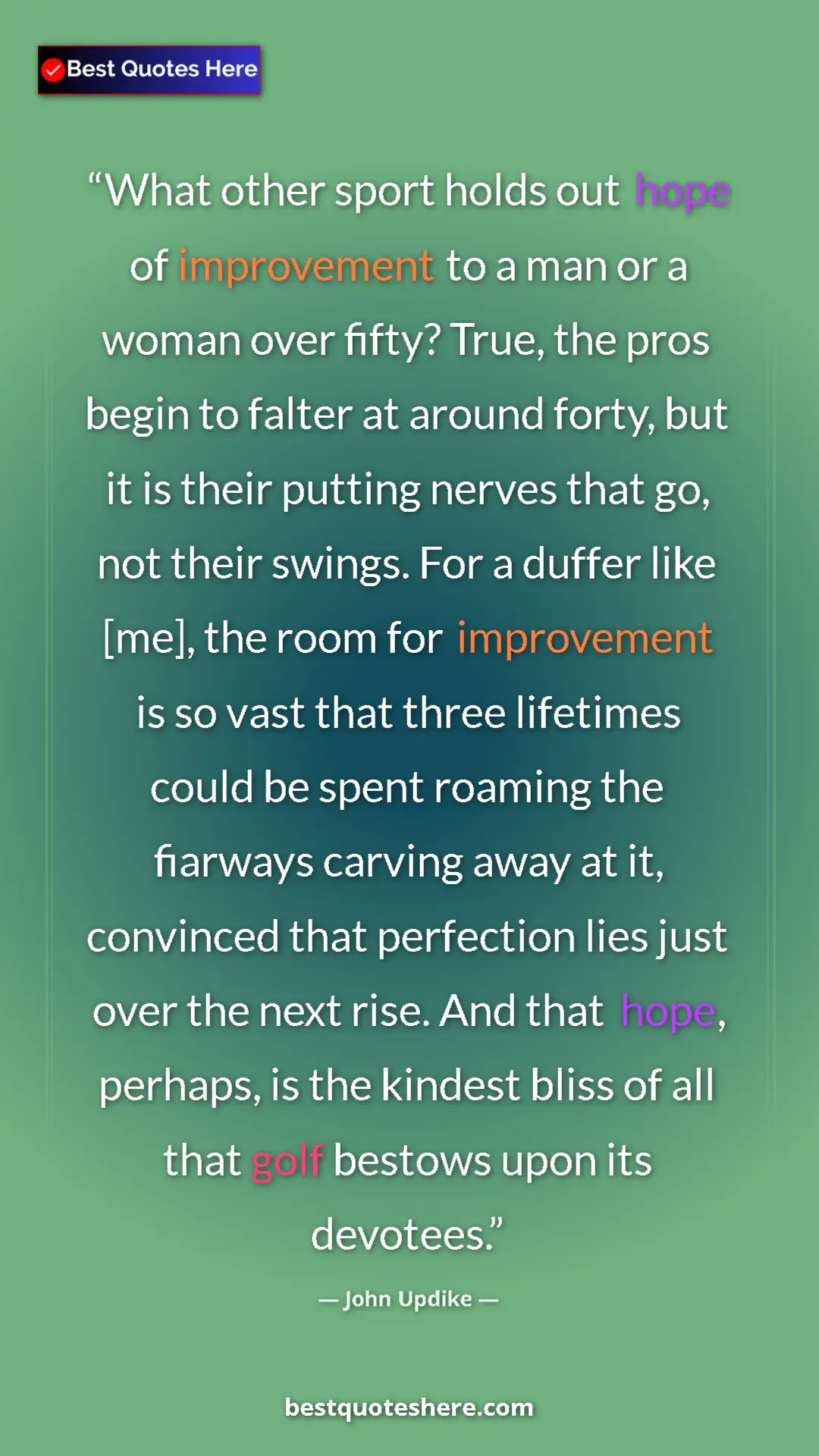Pinterest quote poster by John Updike: "What other sport holds out hope of improvement to a man or..."