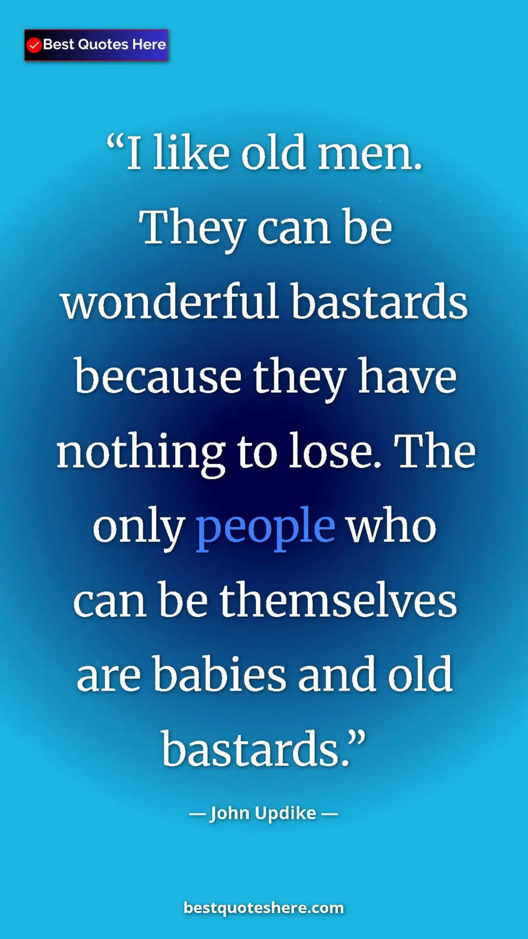 Pinterest quote poster by John Updike: "I like old men. They can be wonderful bastards because they..."