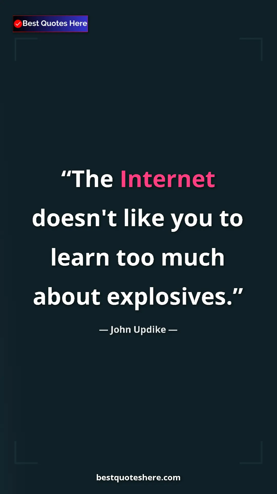Pinterest quote poster by John Updike: "The Internet doesn't like you to learn too much about..."