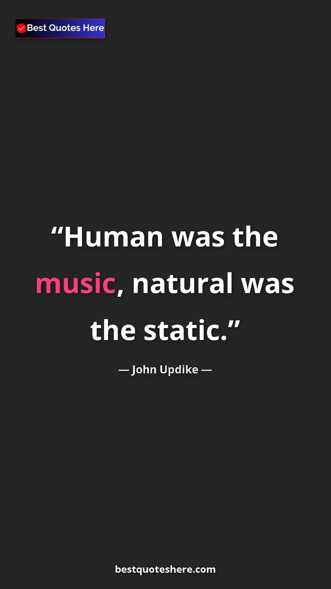 Pinterest quote poster by John Updike: "Human was the music, natural was the static."