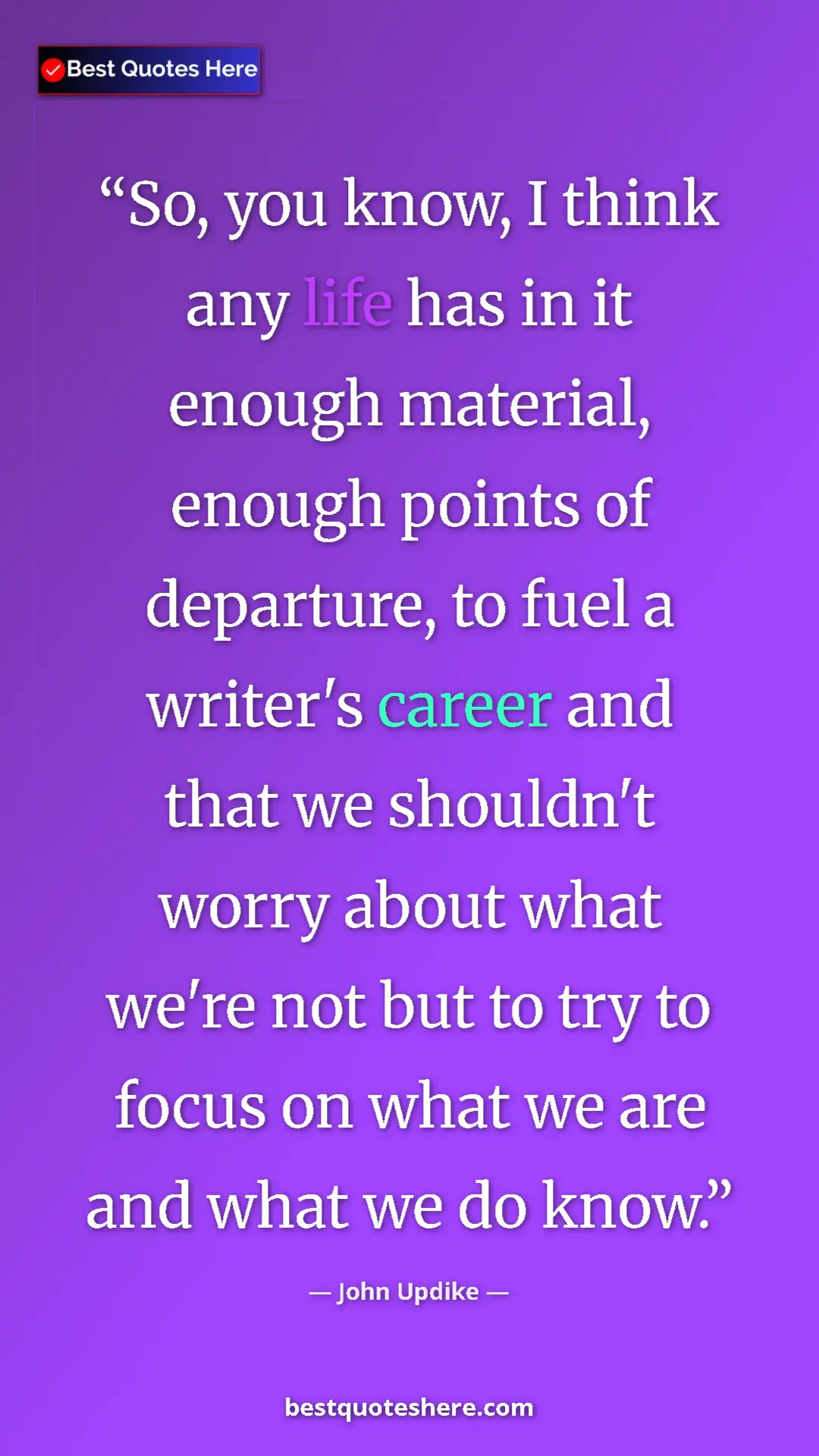 Pinterest quote poster by John Updike: "So, you know, I think any life has in it enough material,..."