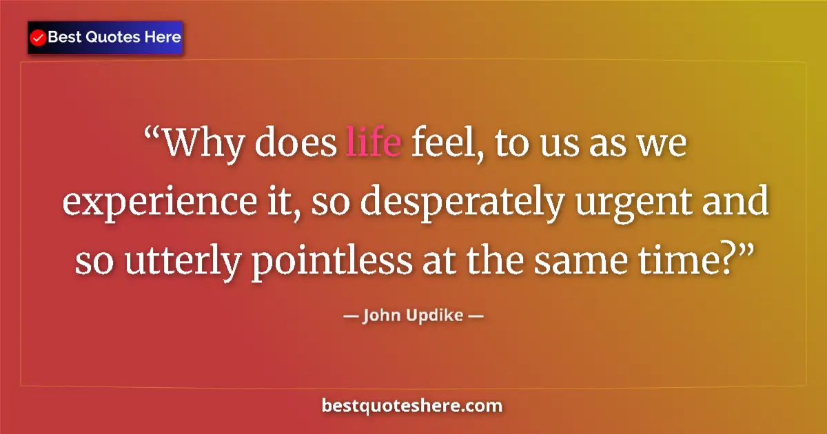 Quote by John Updike: Why does life feel, to us as we experience it, so desperately urgent and so utterly pointless at the...