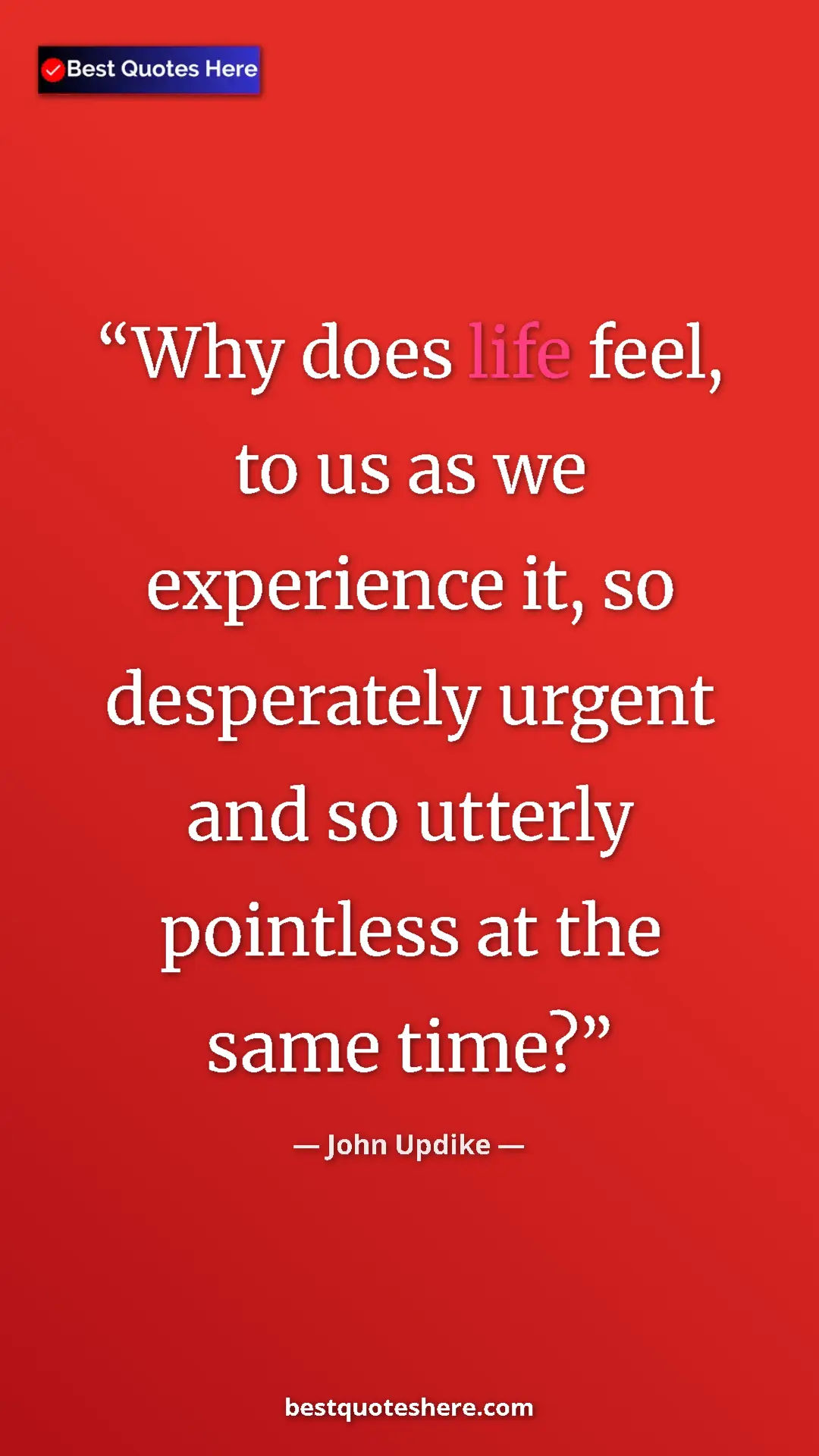 Pinterest quote poster by John Updike: "Why does life feel, to us as we experience it, so..."