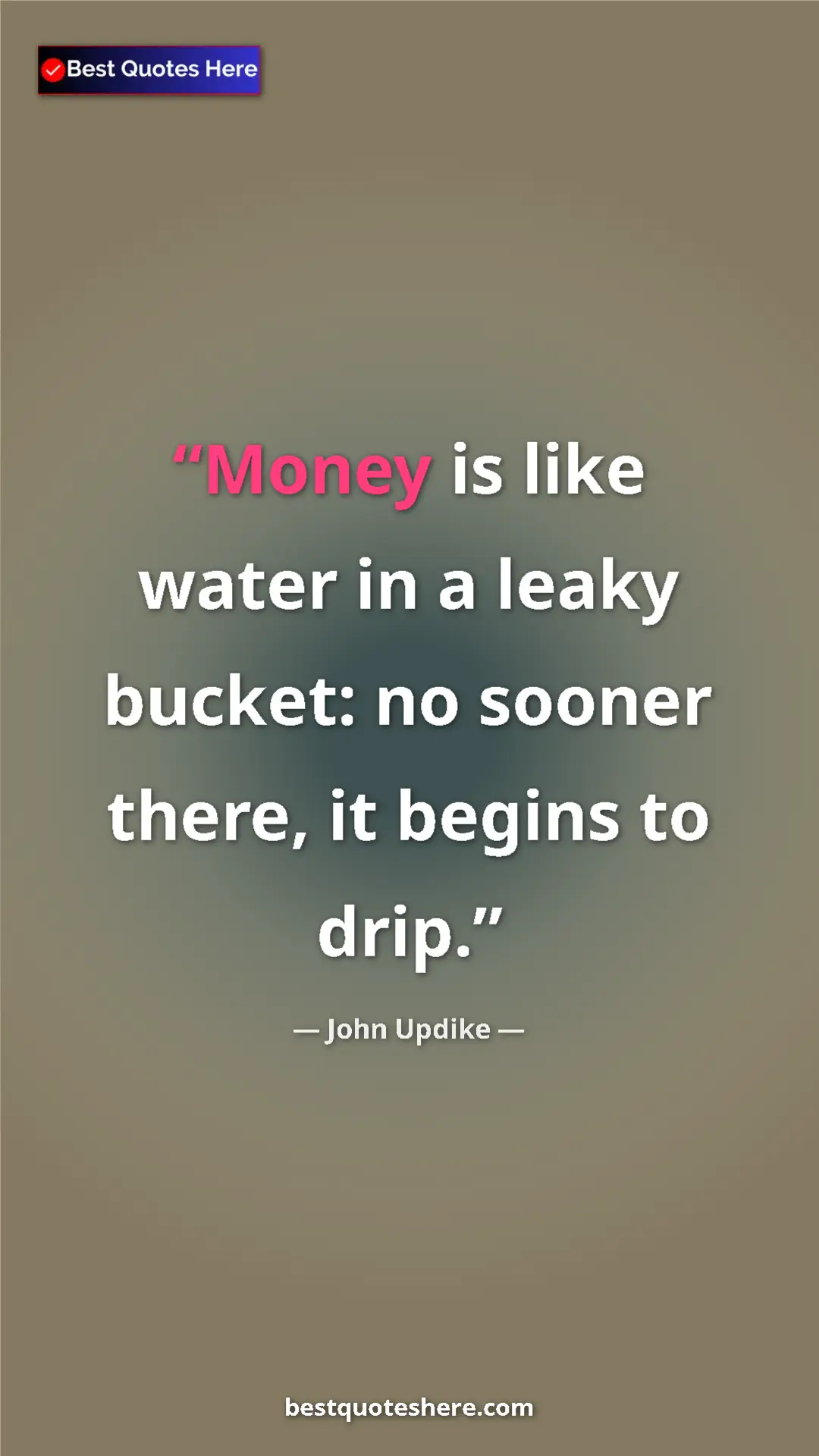 Pinterest quote poster by John Updike: "Money is like water in a leaky bucket: no sooner there, it..."