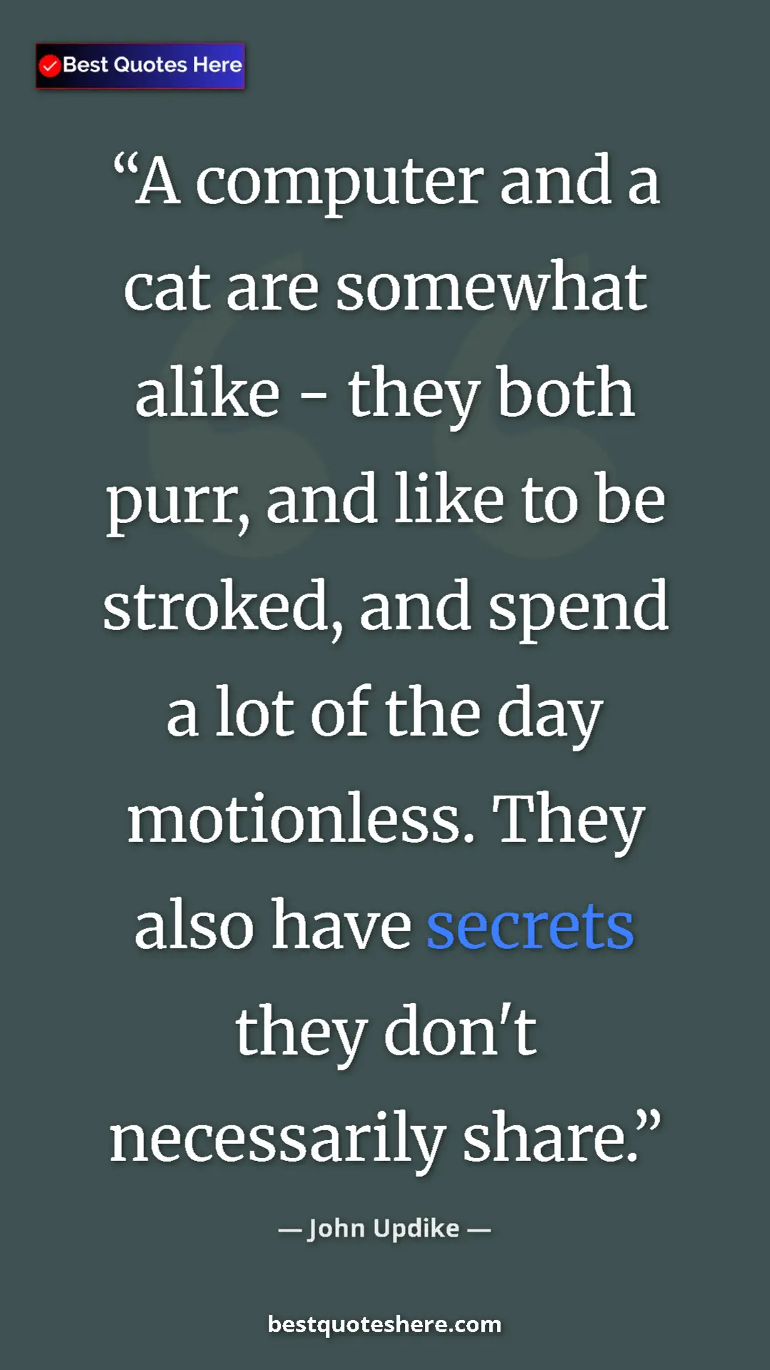Pinterest quote poster by John Updike: "A computer and a cat are somewhat alike - they both purr,..."
