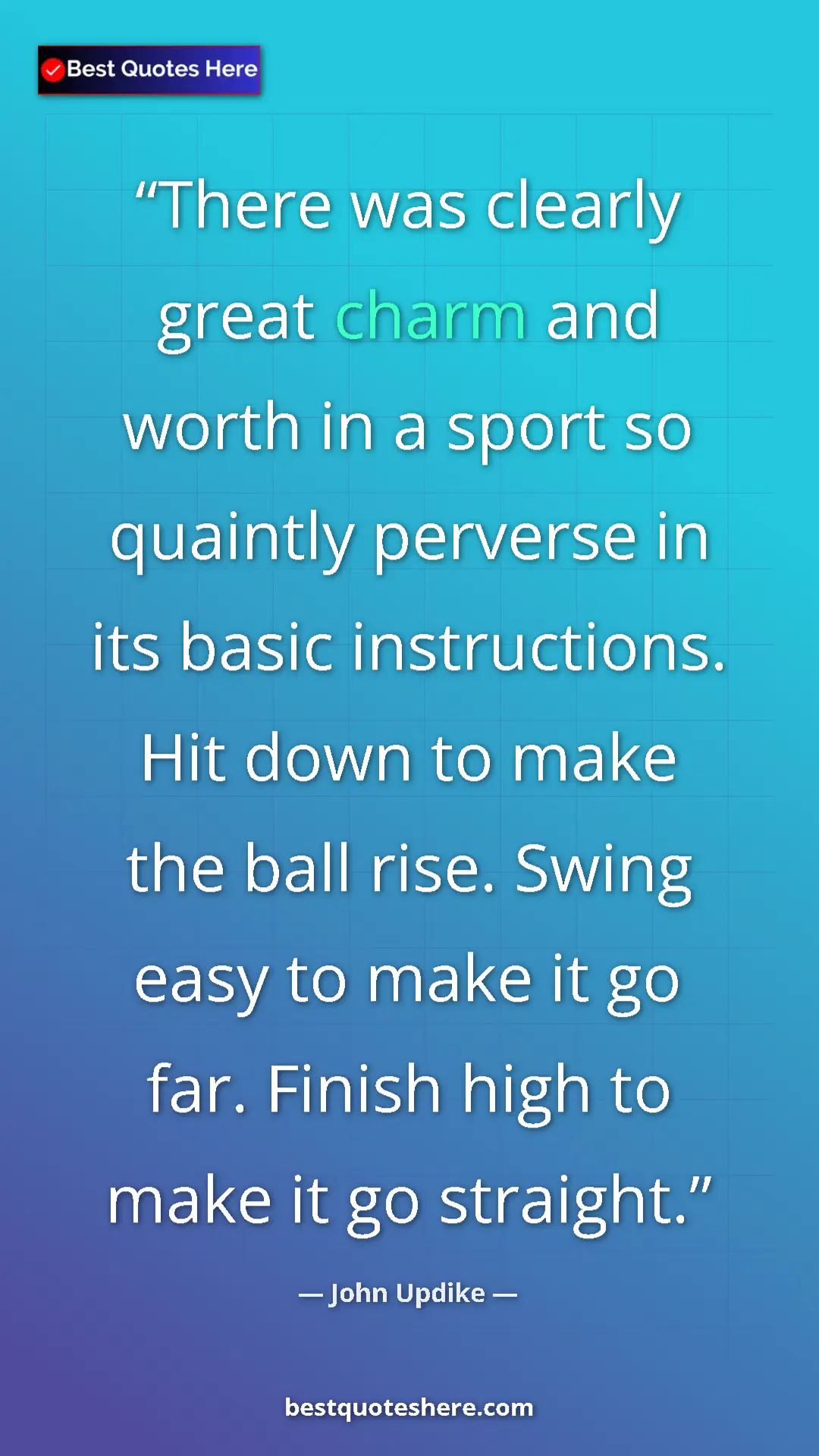 Pinterest quote poster by John Updike: "There was clearly great charm and worth in a sport so..."