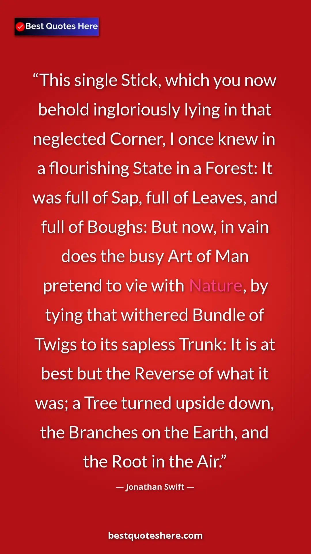 Pinterest quote poster by Jonathan Swift: "This single Stick, which you now behold ingloriously lying..."