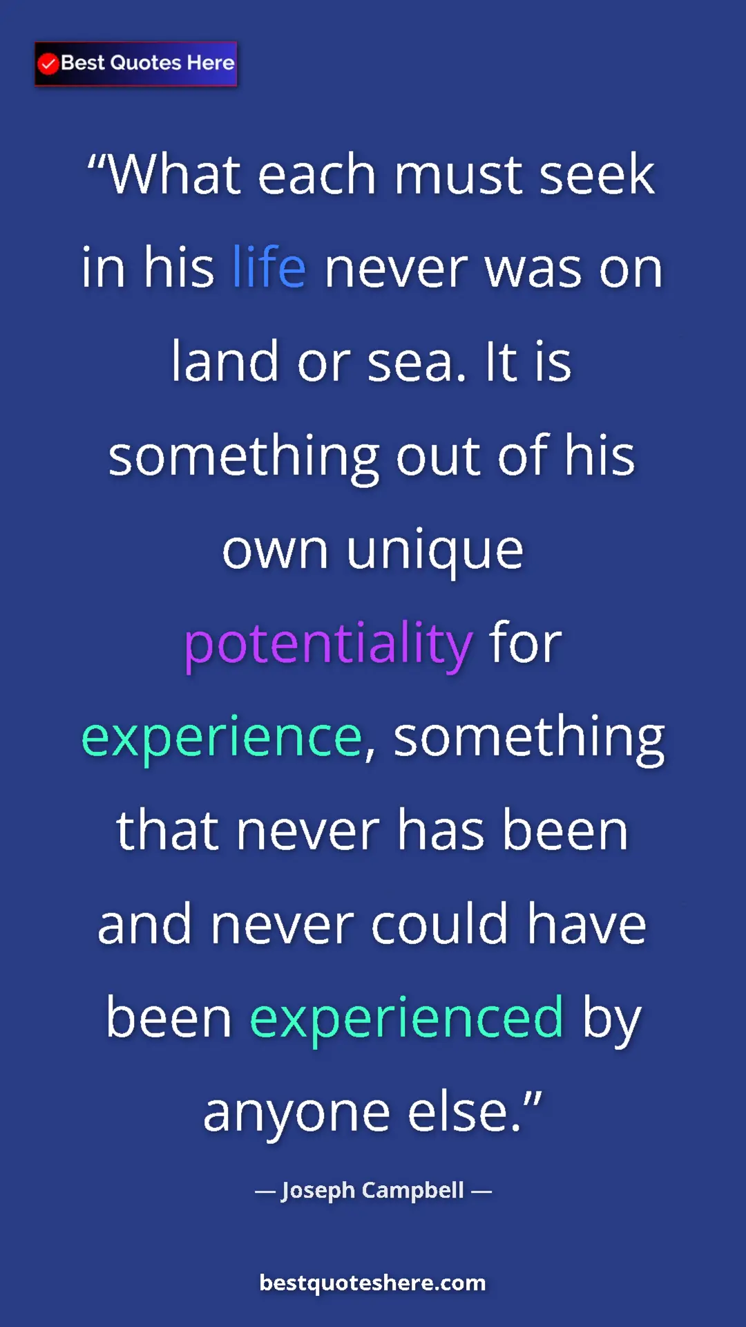 Pinterest quote poster by Joseph Campbell: "What each must seek in his life never was on land or sea...."