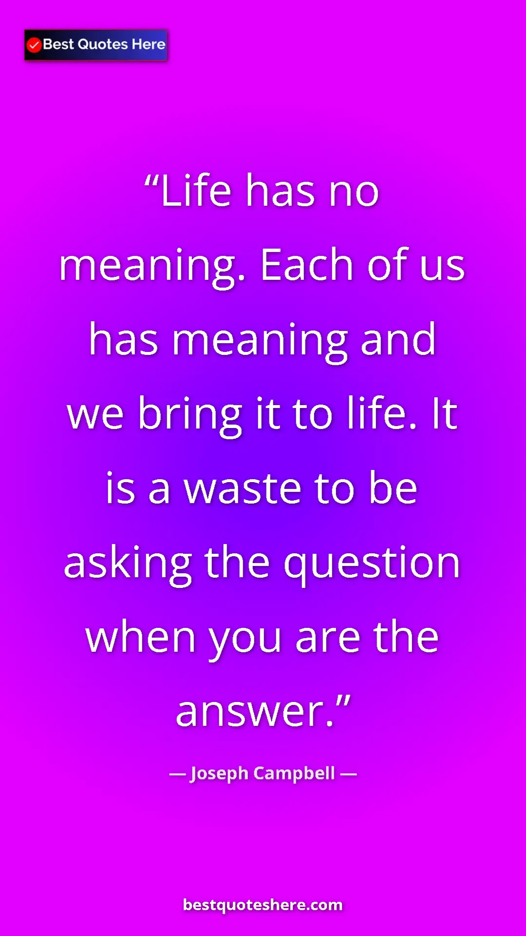 Pinterest quote poster by Joseph Campbell: "Life has no meaning. Each of us has meaning and we bring it..."