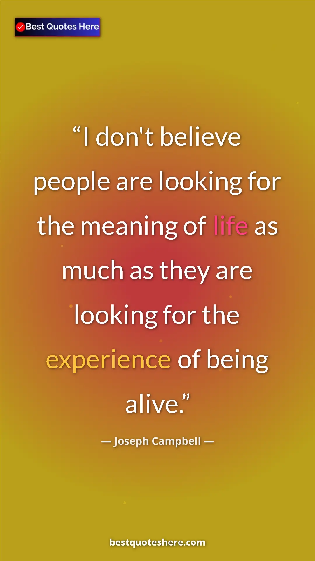 Pinterest quote poster by Joseph Campbell: "I don't believe people are looking for the meaning of life..."