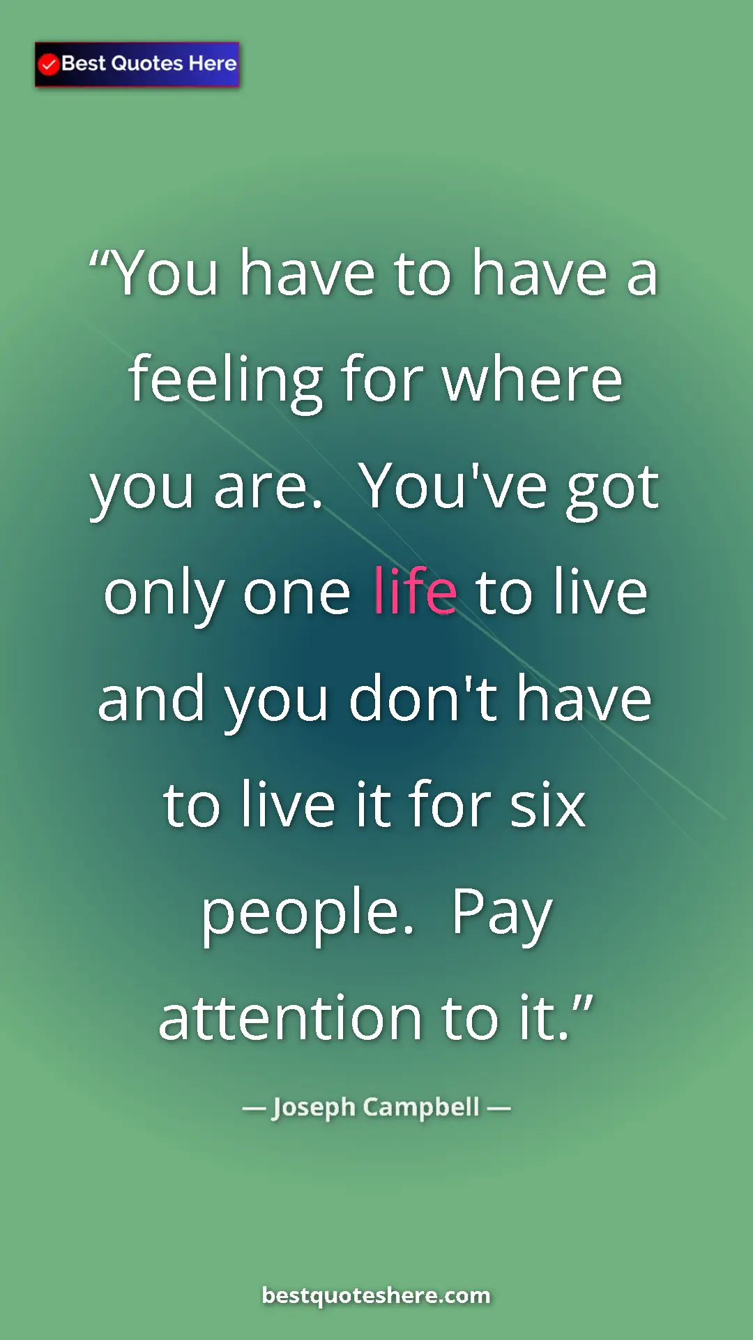 Pinterest quote poster by Joseph Campbell: "You have to have a feeling for where you are.  You've got..."