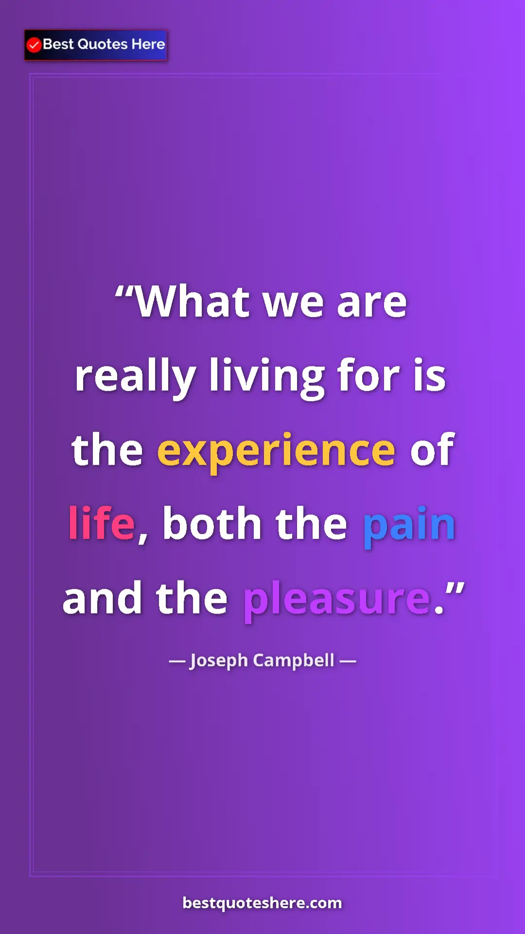 Pinterest quote poster by Joseph Campbell: "What we are really living for is the experience of life,..."