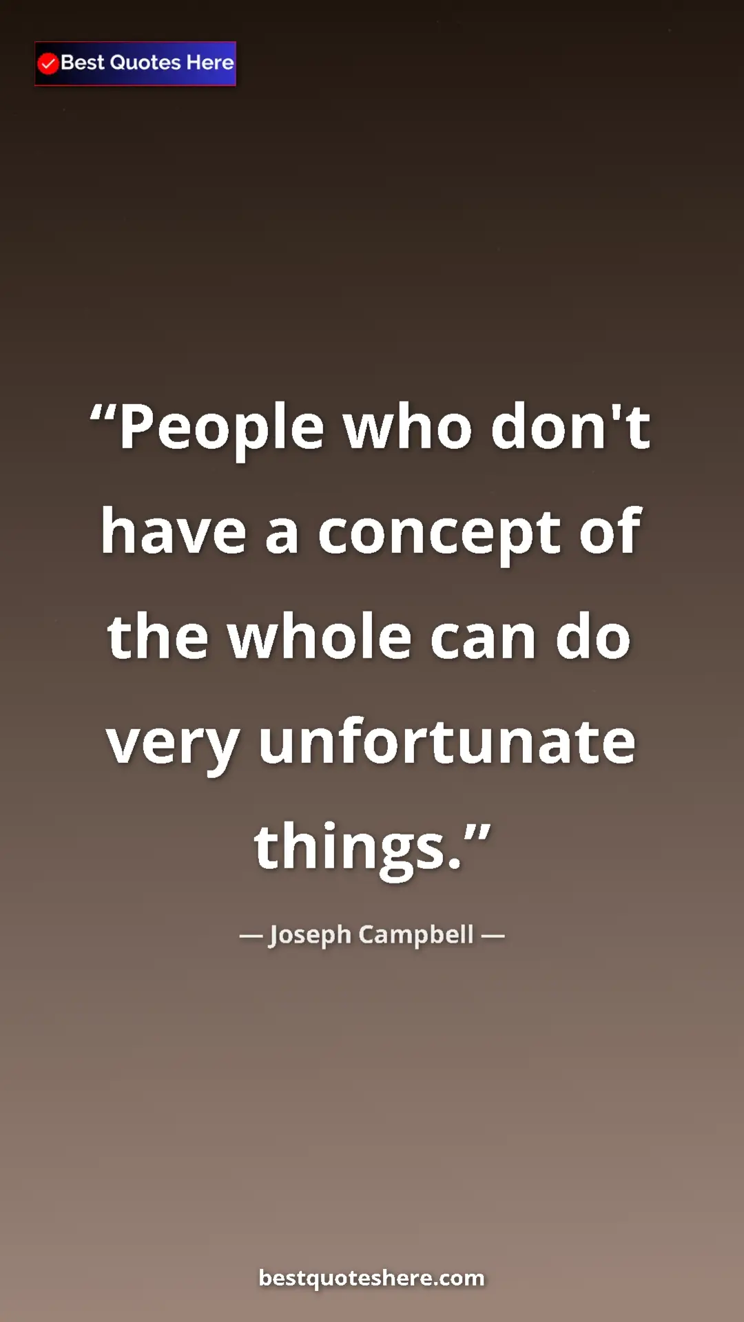 Pinterest quote poster by Joseph Campbell: "People who don't have a concept of the whole can do very..."