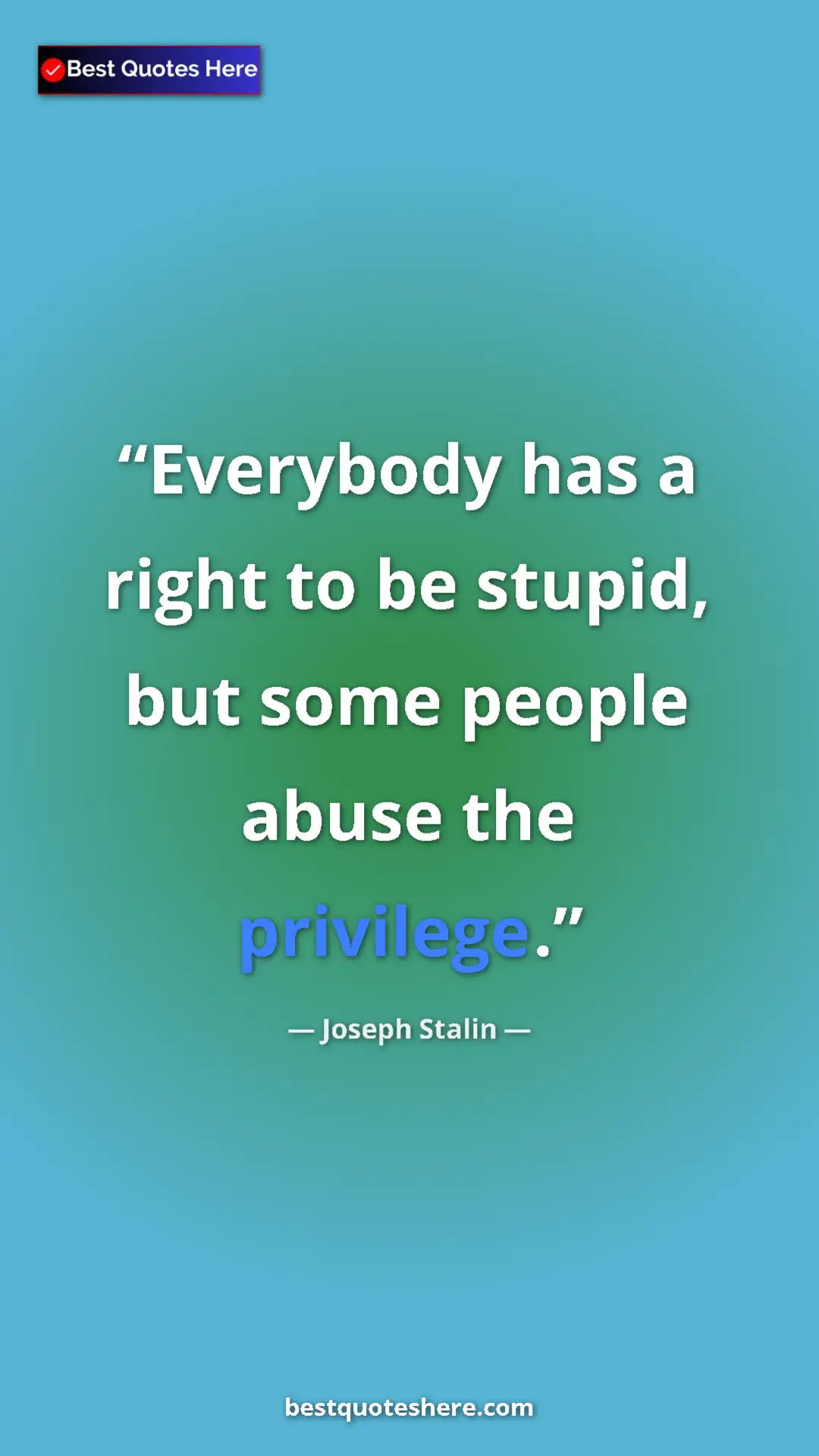 Pinterest quote poster by Joseph Stalin: "Everybody has a right to be stupid, but some people abuse..."