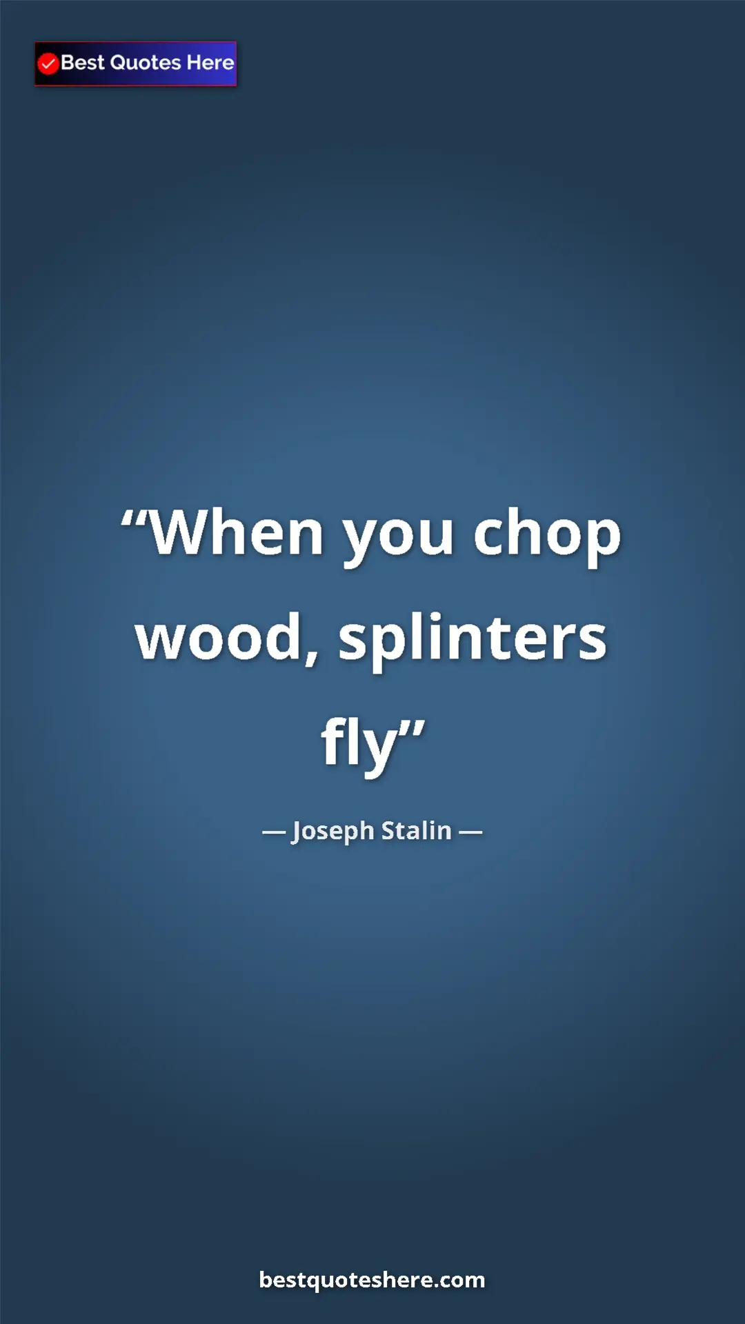 Pinterest quote poster by Joseph Stalin: "When you chop wood, splinters fly"