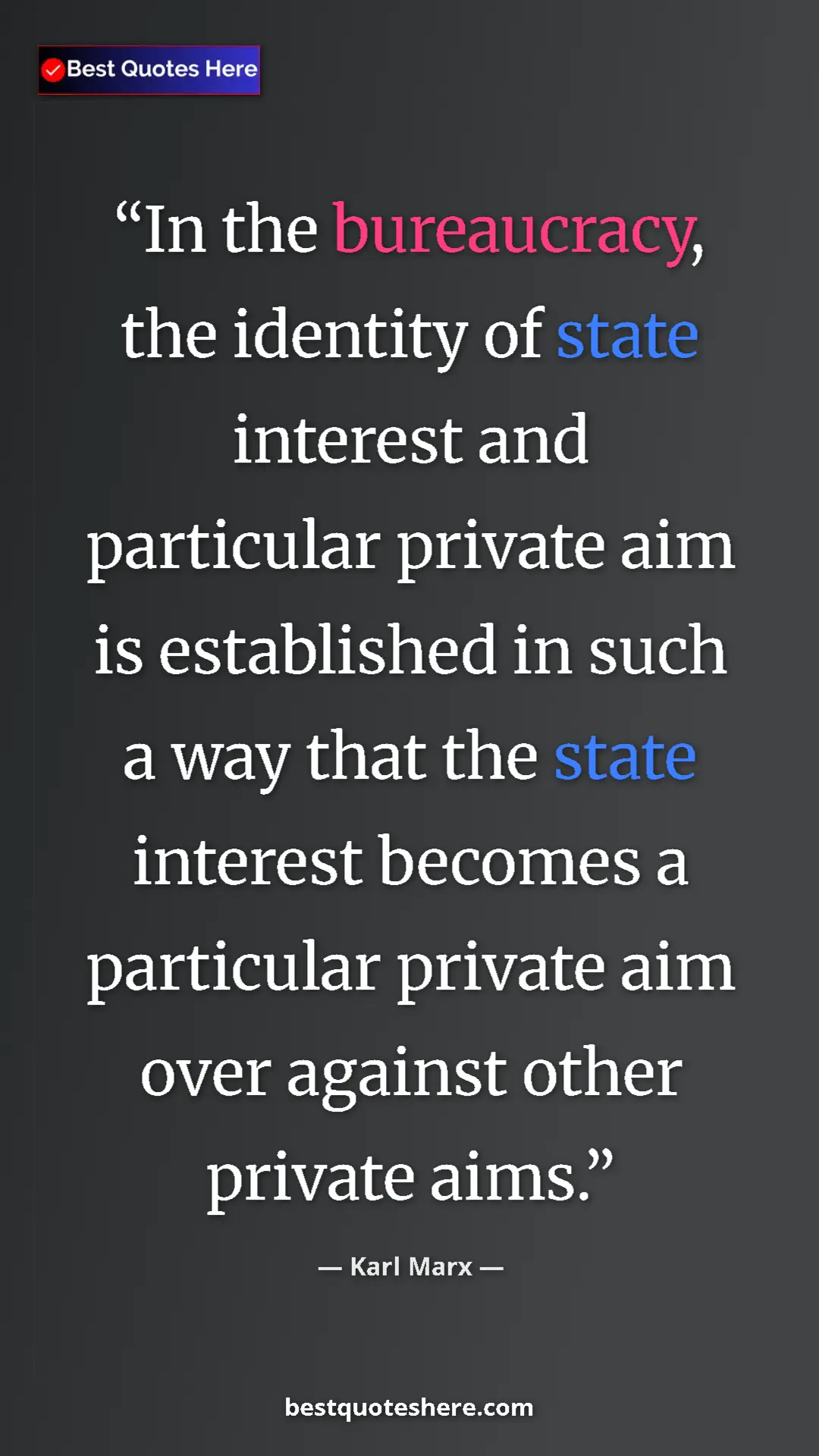 Pinterest quote poster by Karl Marx: "In the bureaucracy, the identity of state interest and..."