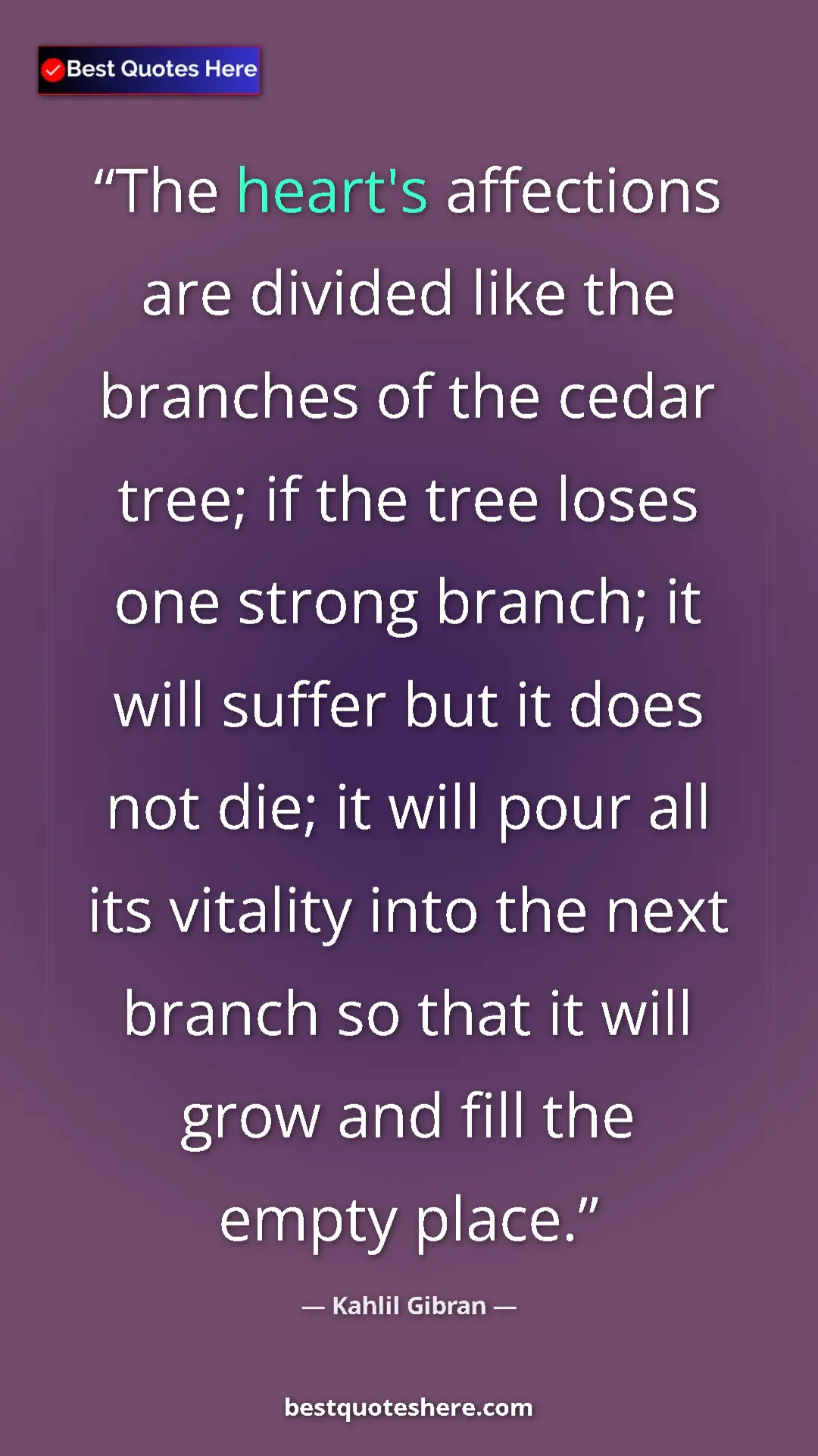 Pinterest quote poster by Kahlil Gibran: "The heart's affections are divided like the branches of the..."