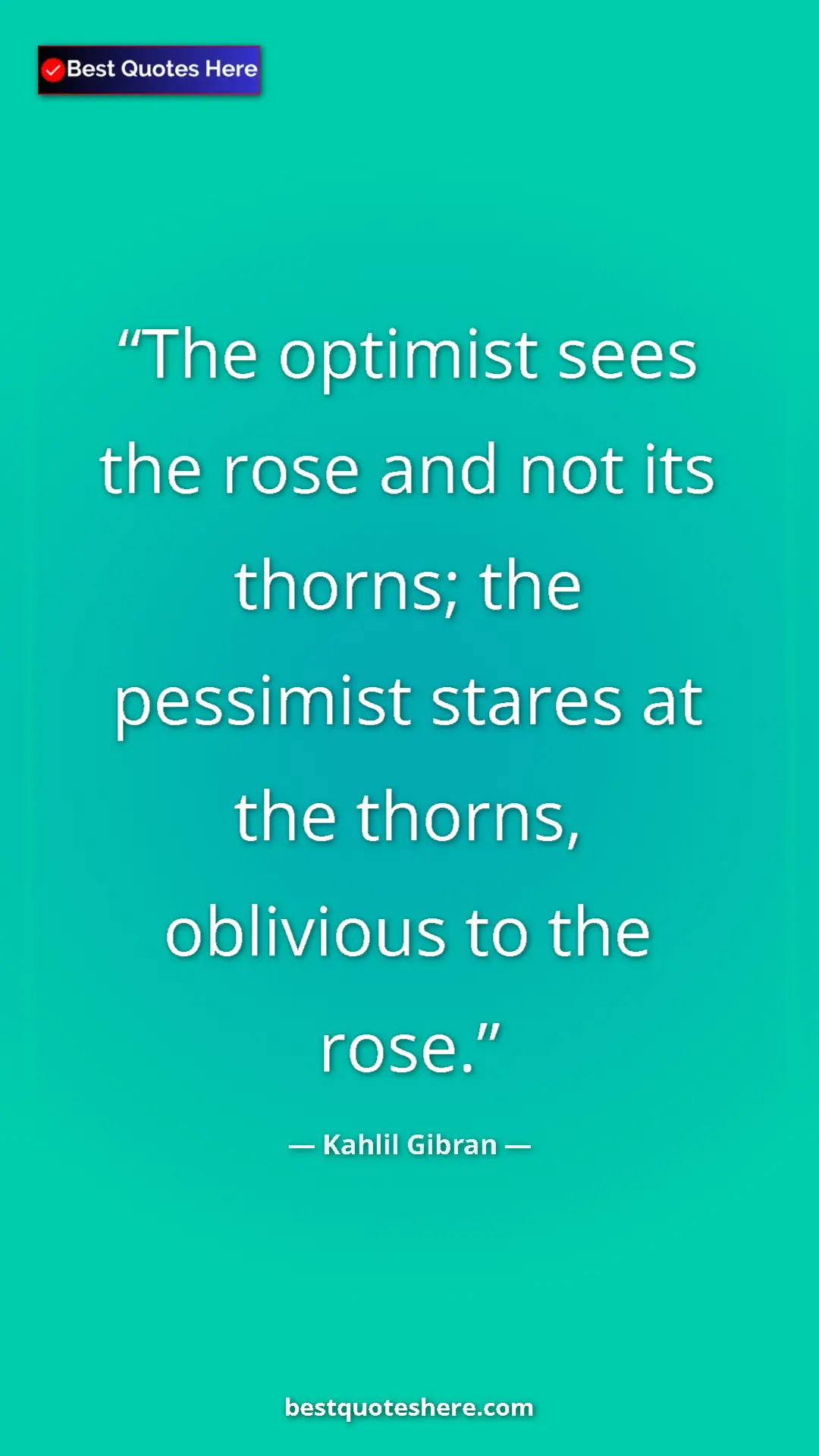 Pinterest quote poster by Kahlil Gibran: "The optimist sees the rose and not its thorns; the..."