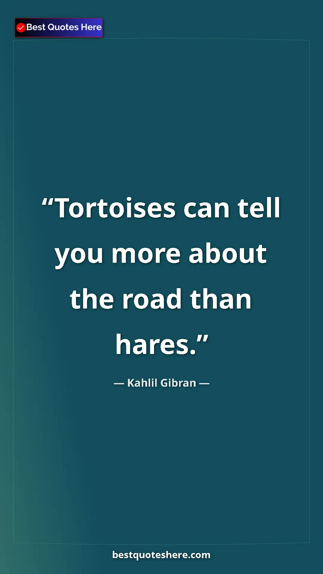 Pinterest quote poster by Kahlil Gibran: "Tortoises can tell you more about the road than hares."