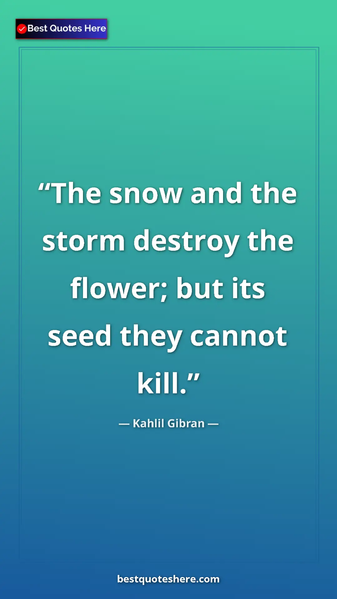 Pinterest quote poster by Kahlil Gibran: "The snow and the storm destroy the flower; but its seed..."