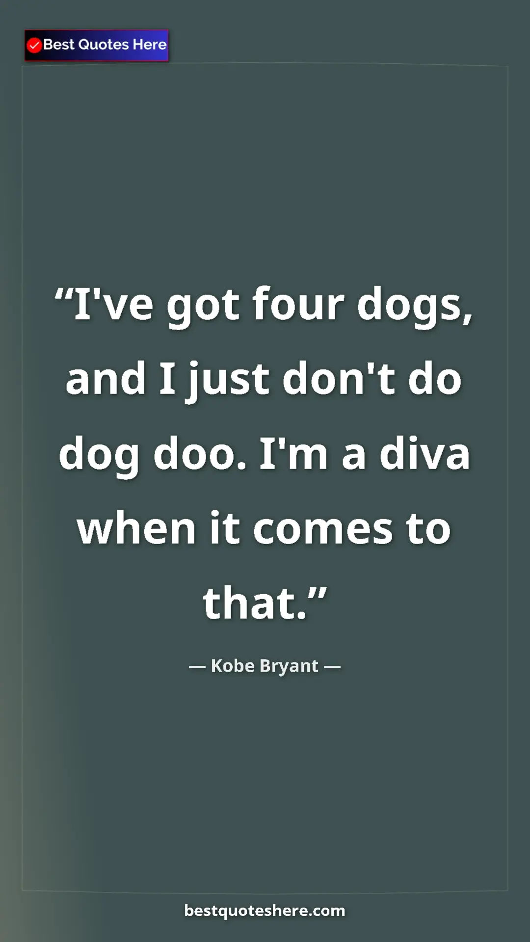 Kobe Bryant Quote Card: "I've got four dogs, and I just don't do dog doo. I'm a diva..." Pinterest quote poster by Kobe Bryant: "I've got four dogs, and I just don't do dog doo. I'm a diva..."