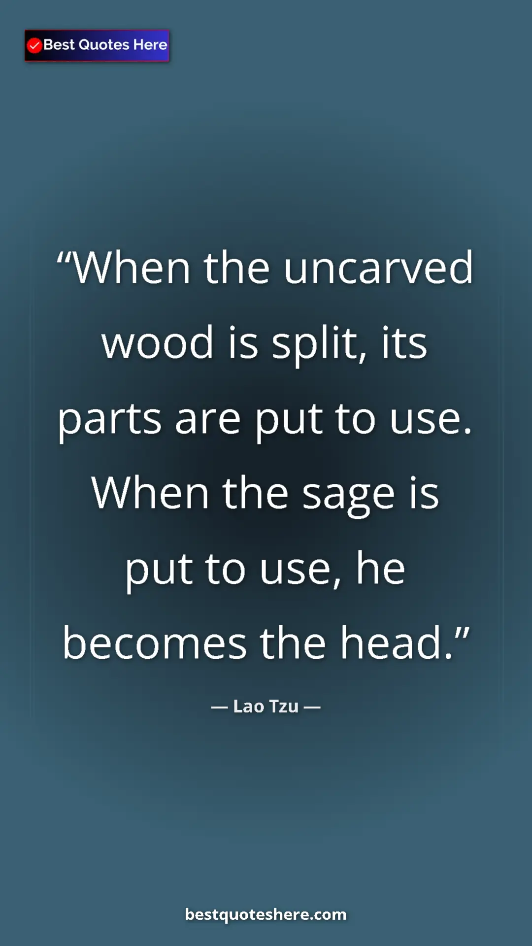 Pinterest quote poster by Lao Tzu: "When the uncarved wood is split, its parts are put to use...."