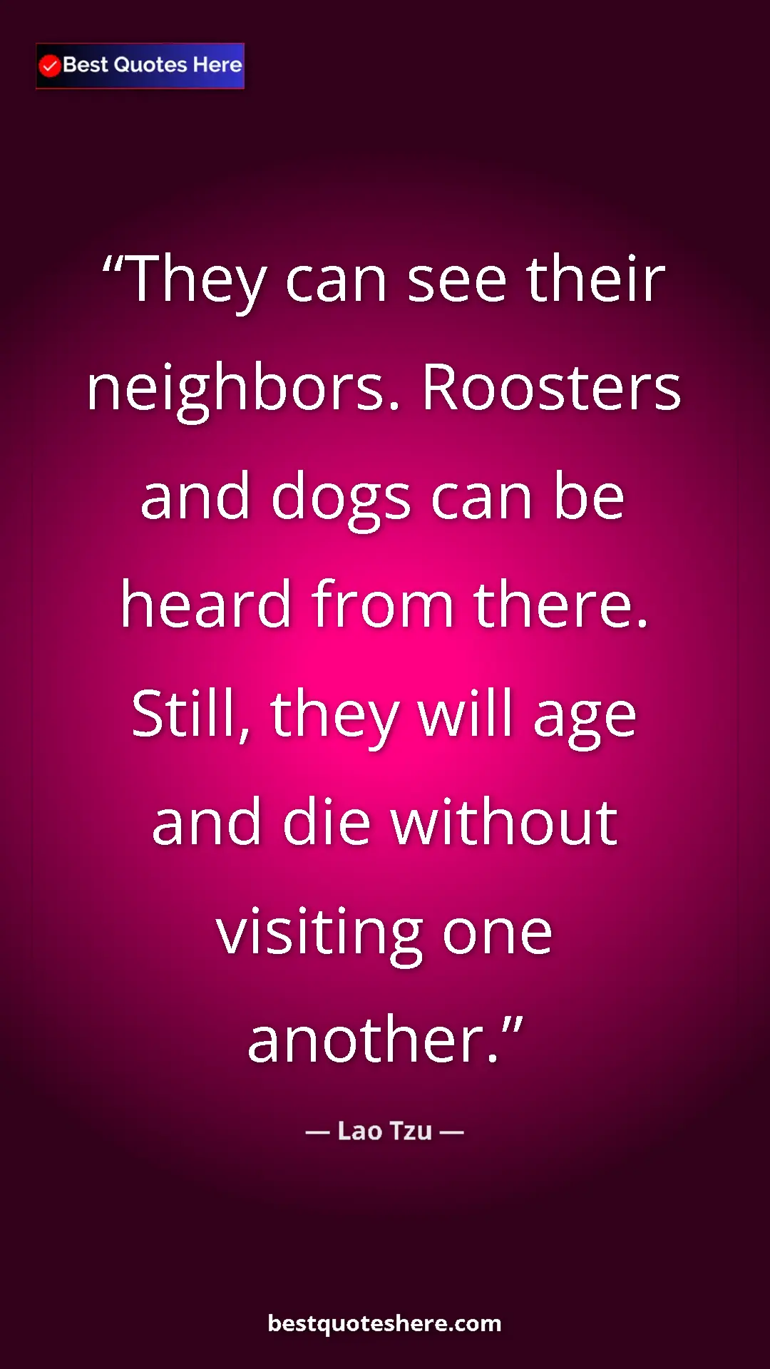 Pinterest quote poster by Lao Tzu: "They can see their neighbors. Roosters and dogs can be..."