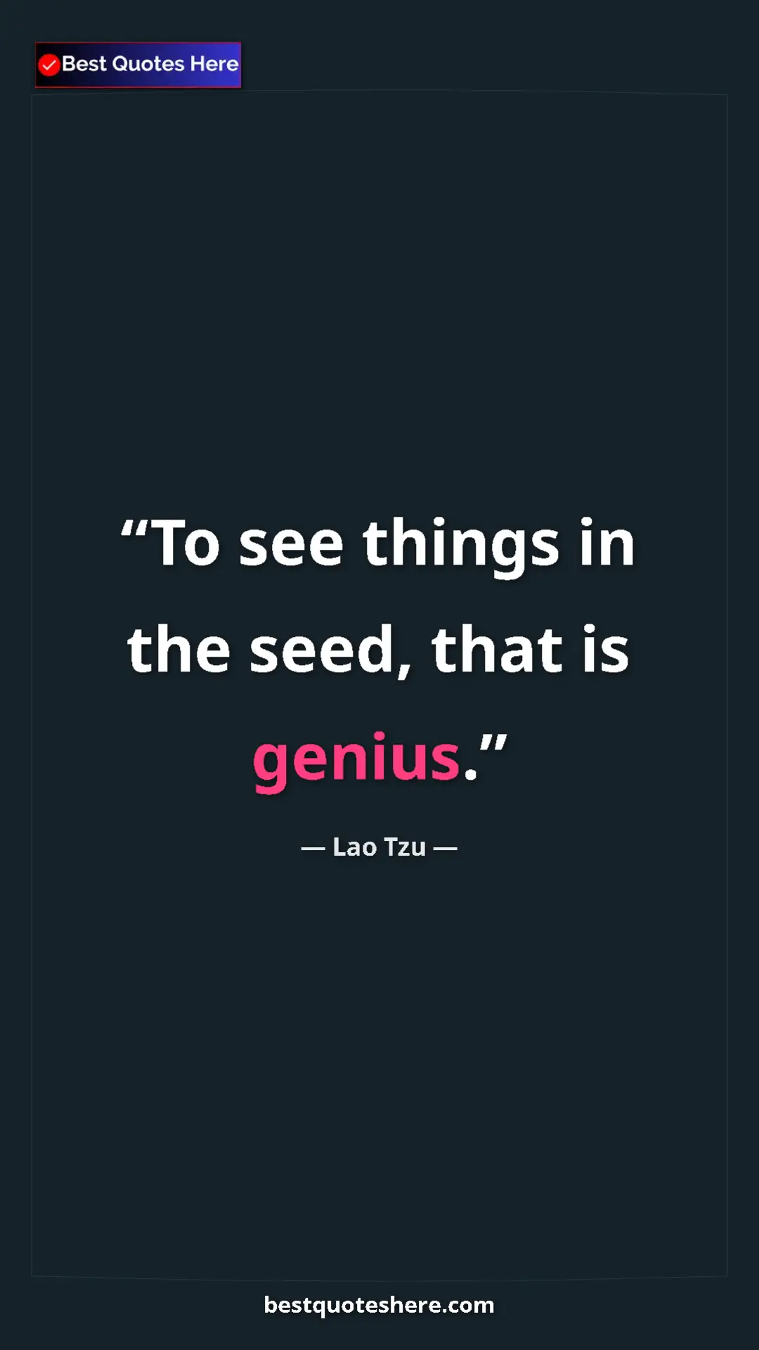 Pinterest quote poster by Lao Tzu: "To see things in the seed, that is genius."