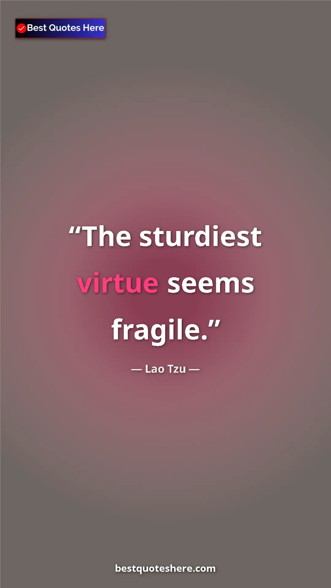 Pinterest quote poster by Lao Tzu: "The sturdiest virtue seems fragile."