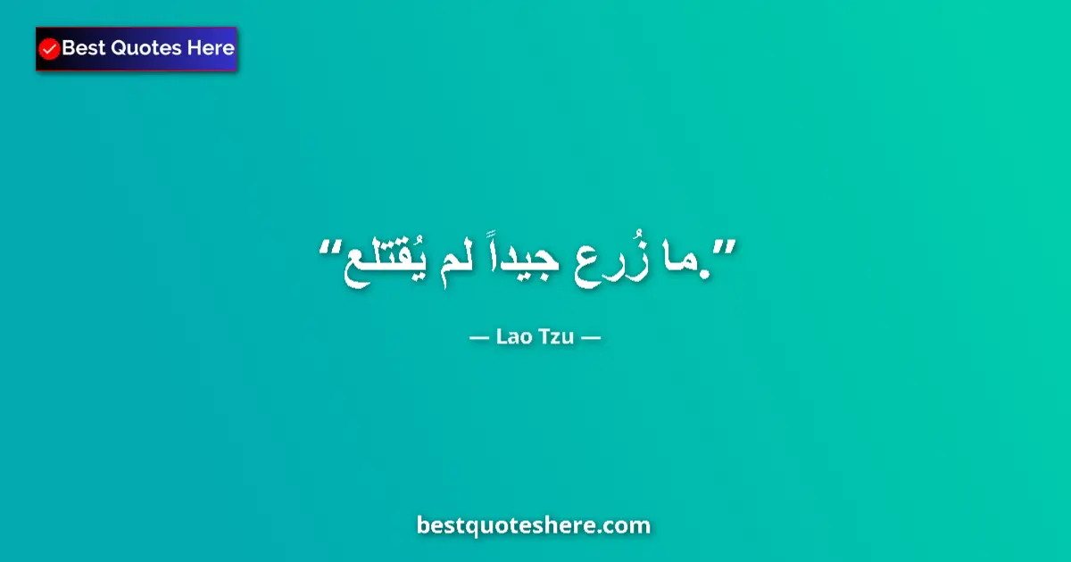 Quote by Lao Tzu: What is well planted will not be uprooted....