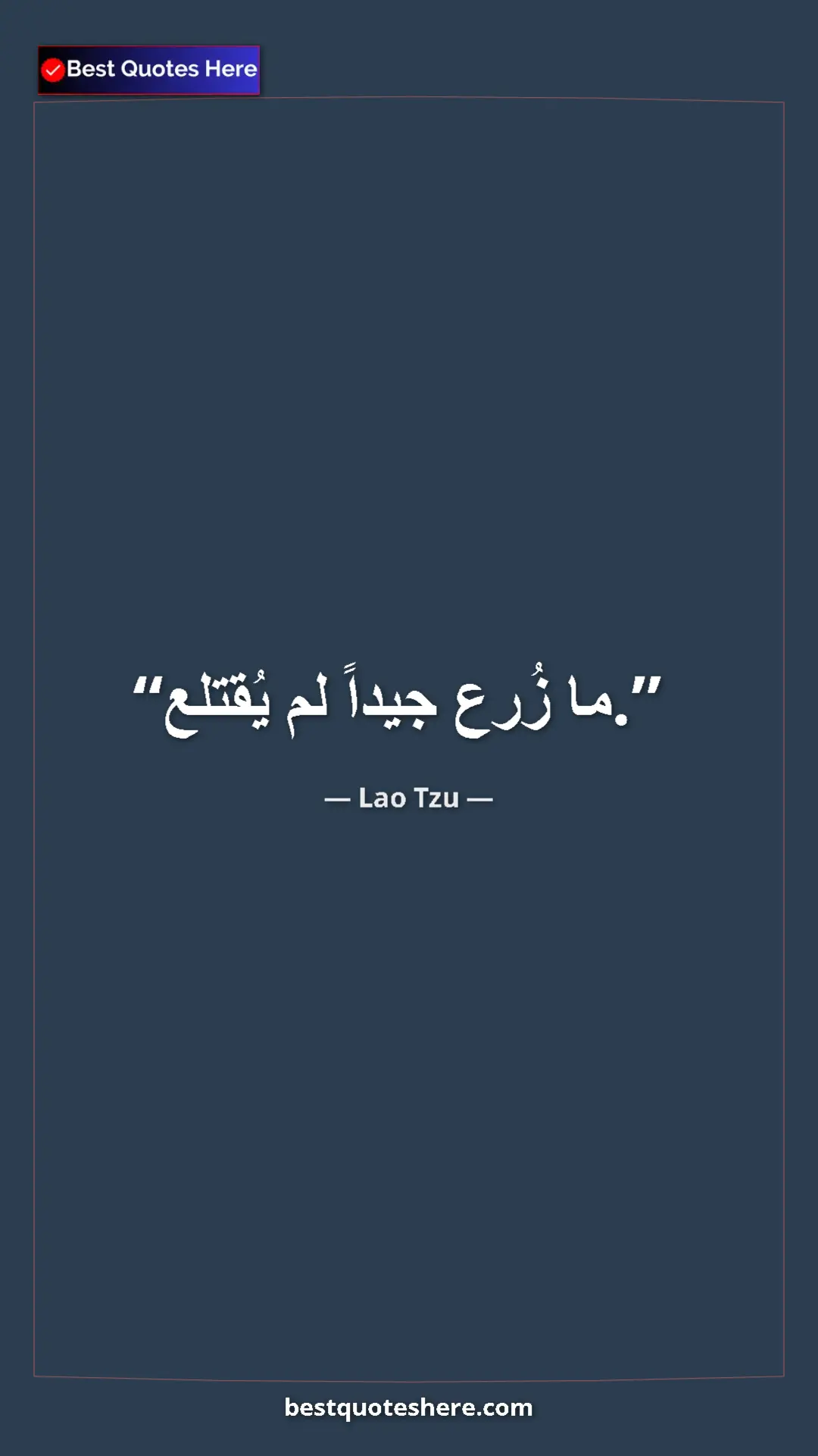 Pinterest quote poster by Lao Tzu: "What is well planted will not be uprooted."