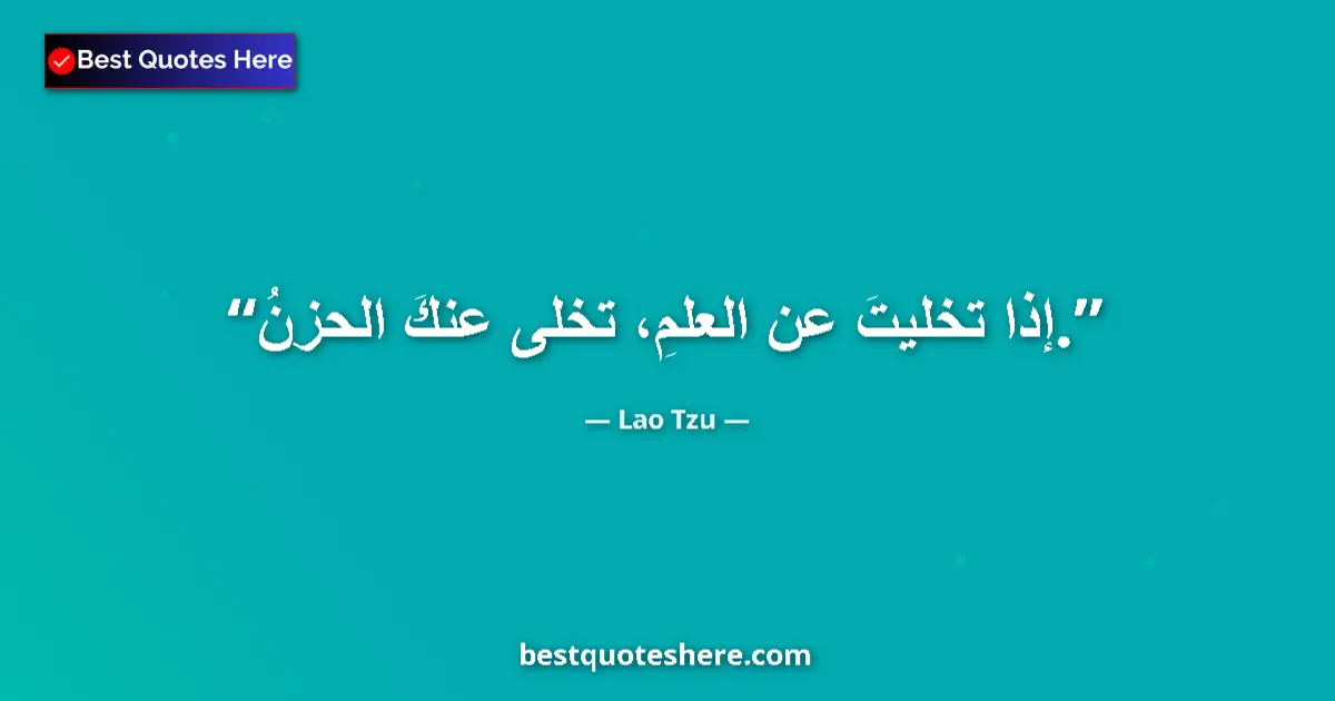 Quote by Lao Tzu: Abandon learning and there will be no sorrow....