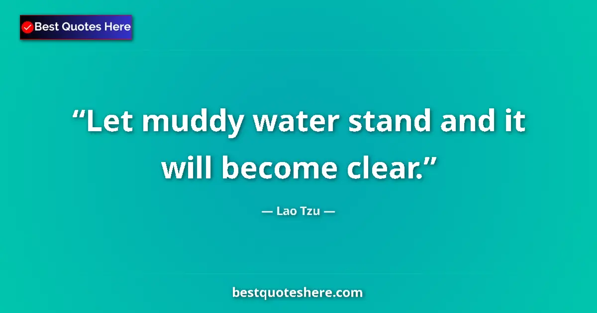 Quote by Lao Tzu: Let muddy water stand and it will become clear....