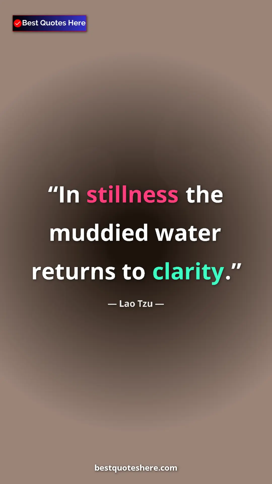 Pinterest quote poster by Lao Tzu: "In stillness the muddied water returns to clarity."