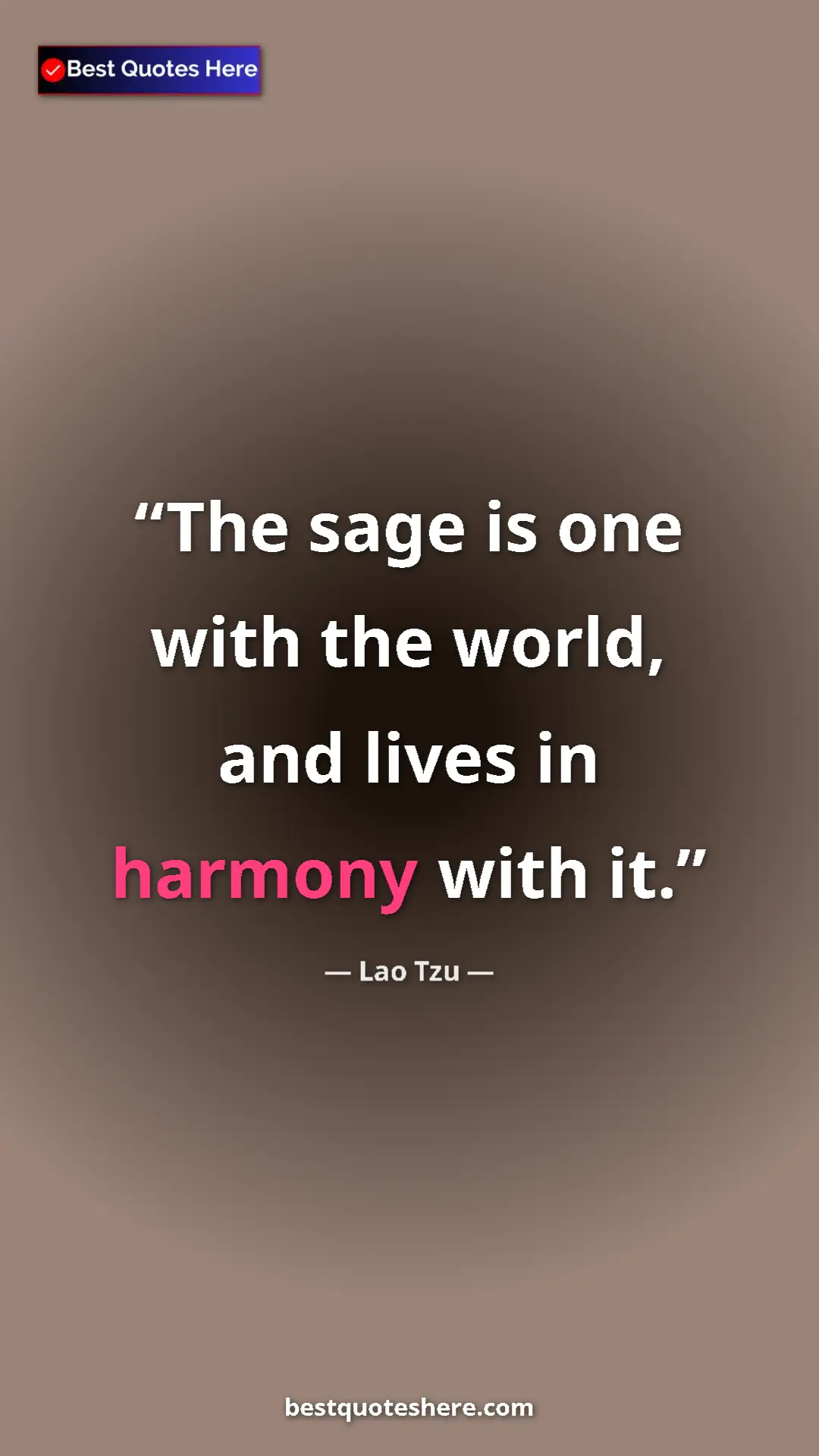 Pinterest quote poster by Lao Tzu: "The sage is one with the world, and lives in harmony with..."