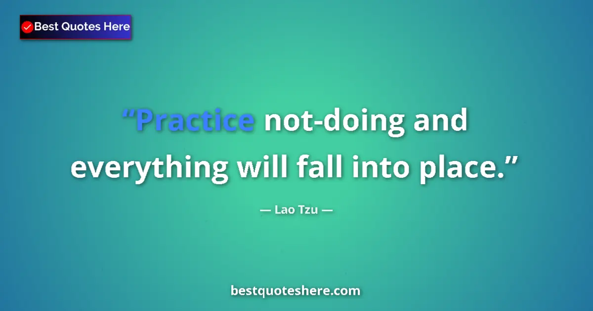 Quote by Lao Tzu: Practice not-doing and everything will fall into place....