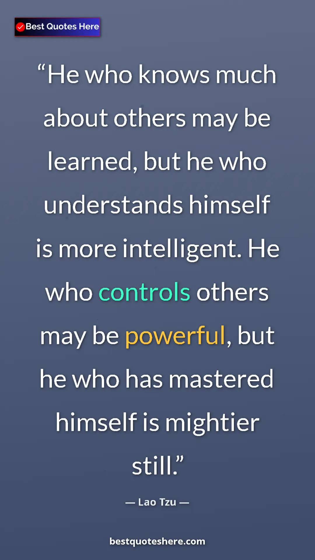 Pinterest quote poster by Lao Tzu: "He who knows much about others may be learned, but he who..."