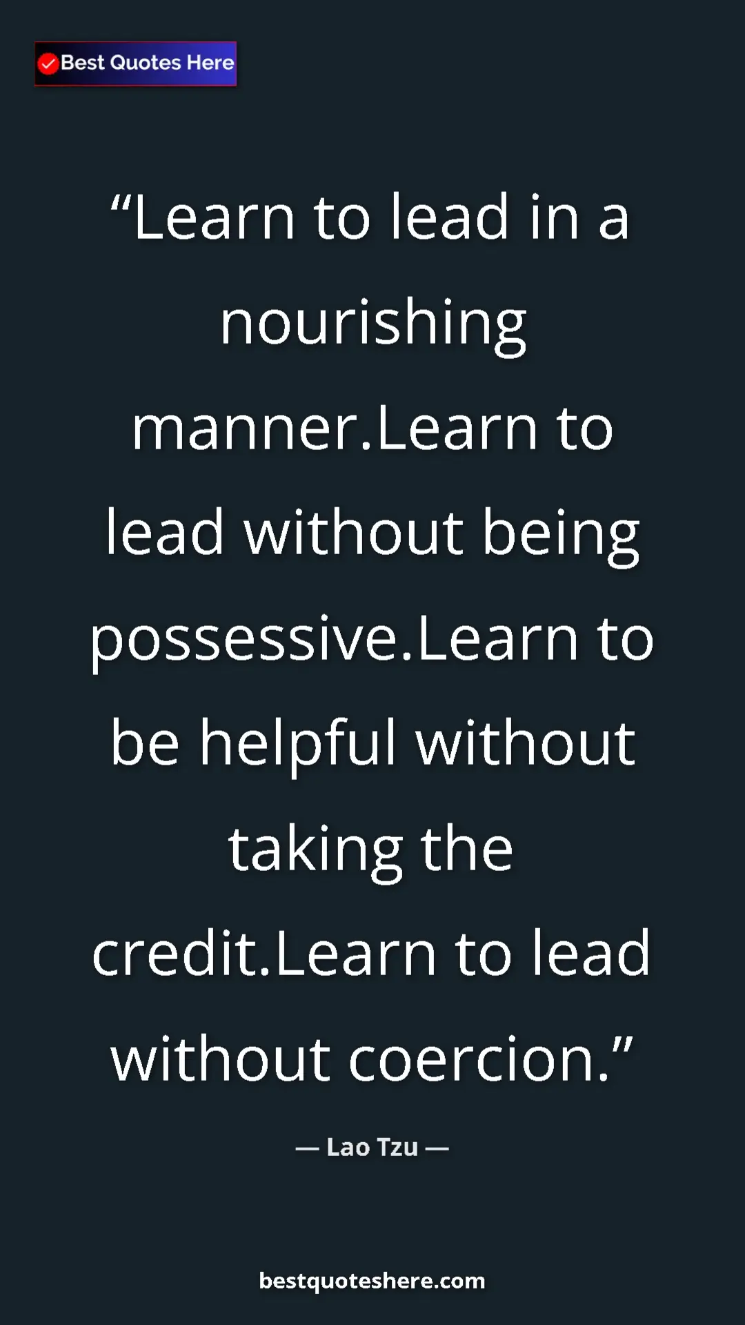 Pinterest quote poster by Lao Tzu: "Learn to lead in a nourishing manner.Learn to lead without..."