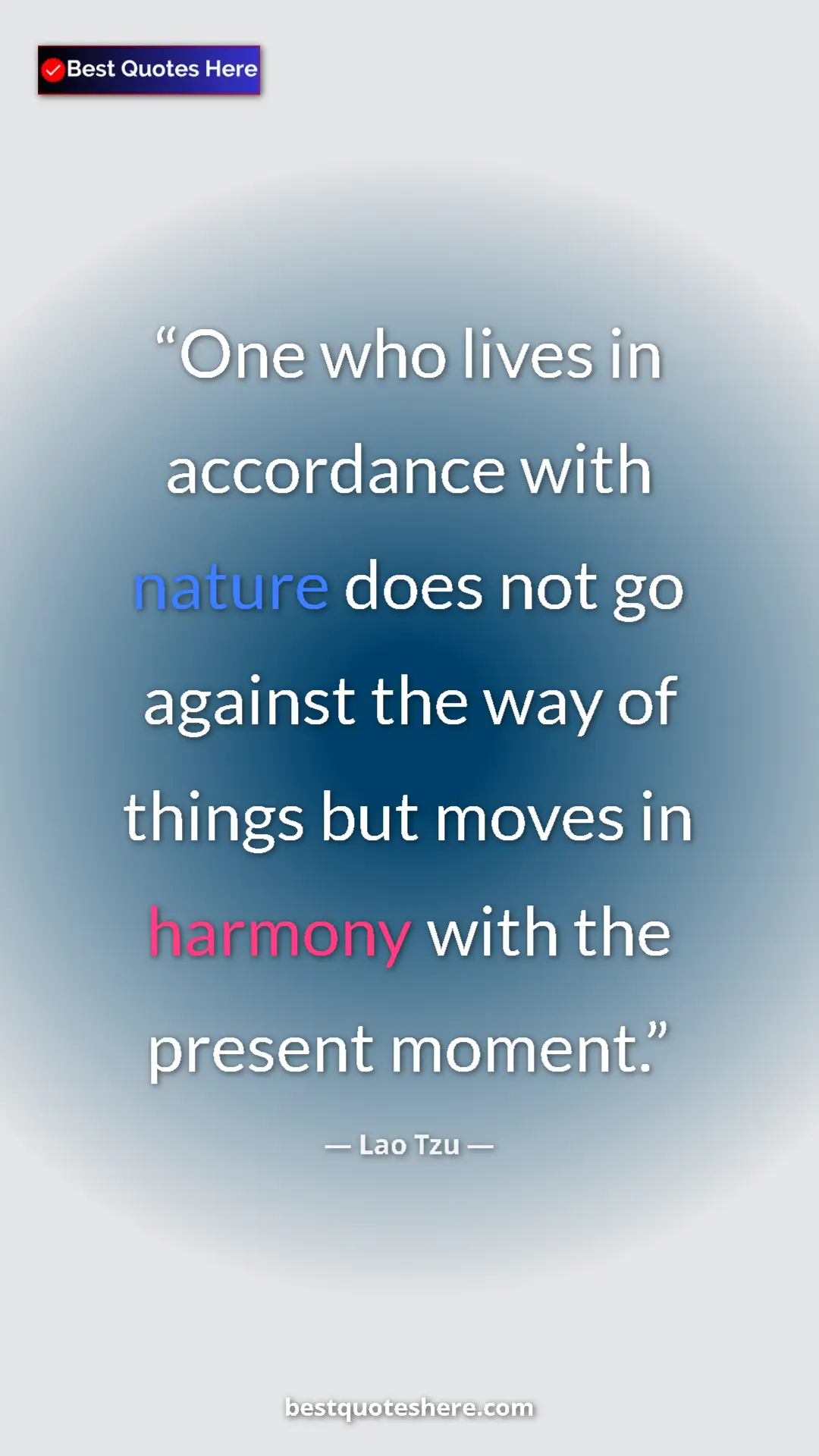 Pinterest quote poster by Lao Tzu: "One who lives in accordance with nature does not go against..."