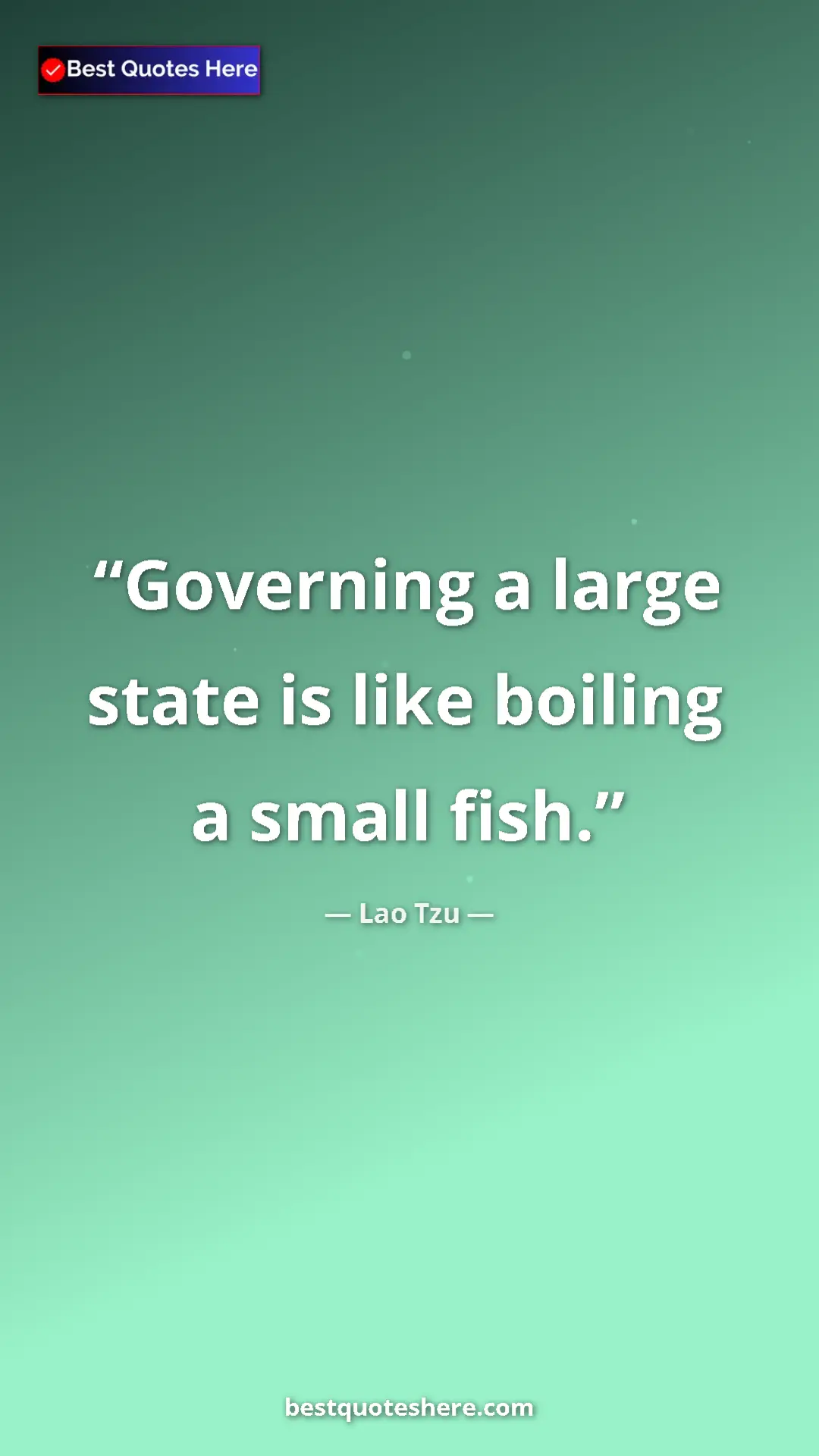 Pinterest quote poster by Lao Tzu: "Governing a large state is like boiling a small fish."