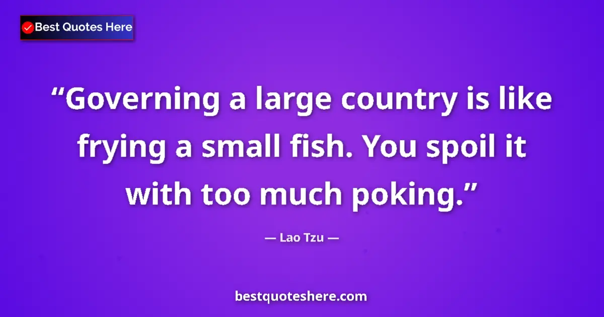 Quote by Lao Tzu: Governing a large country is like frying a small fish. You spoil it with too much poking....
