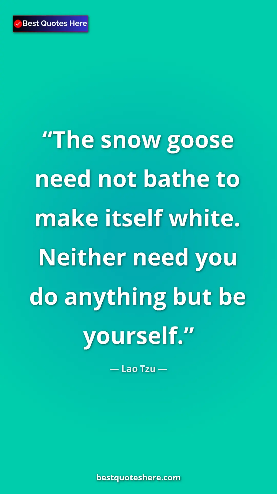 Pinterest quote poster by Lao Tzu: "The snow goose need not bathe to make itself white. Neither..."