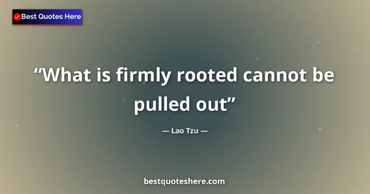 Quote by Lao Tzu: What is firmly rooted cannot be pulled out...