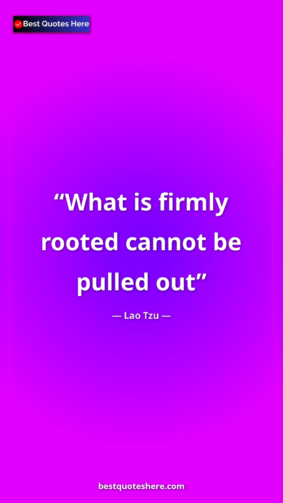 Pinterest quote poster by Lao Tzu: "What is firmly rooted cannot be pulled out"