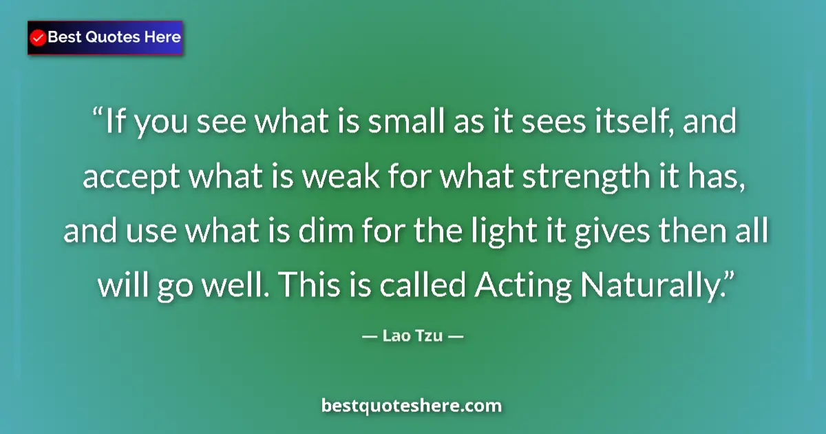 Quote by Lao Tzu: If you see what is small as it sees itself, and accept what is weak for what strength it has, and us...