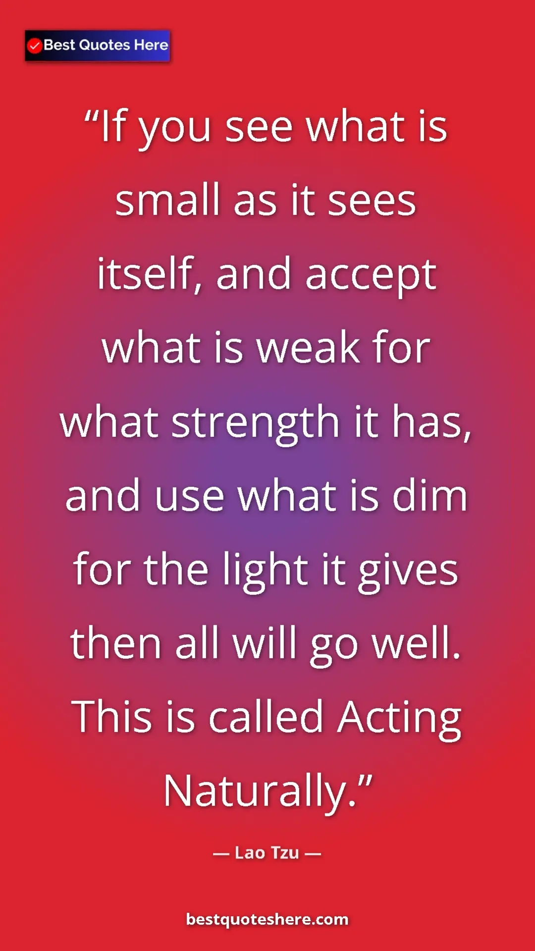 Pinterest quote poster by Lao Tzu: "If you see what is small as it sees itself, and accept what..."