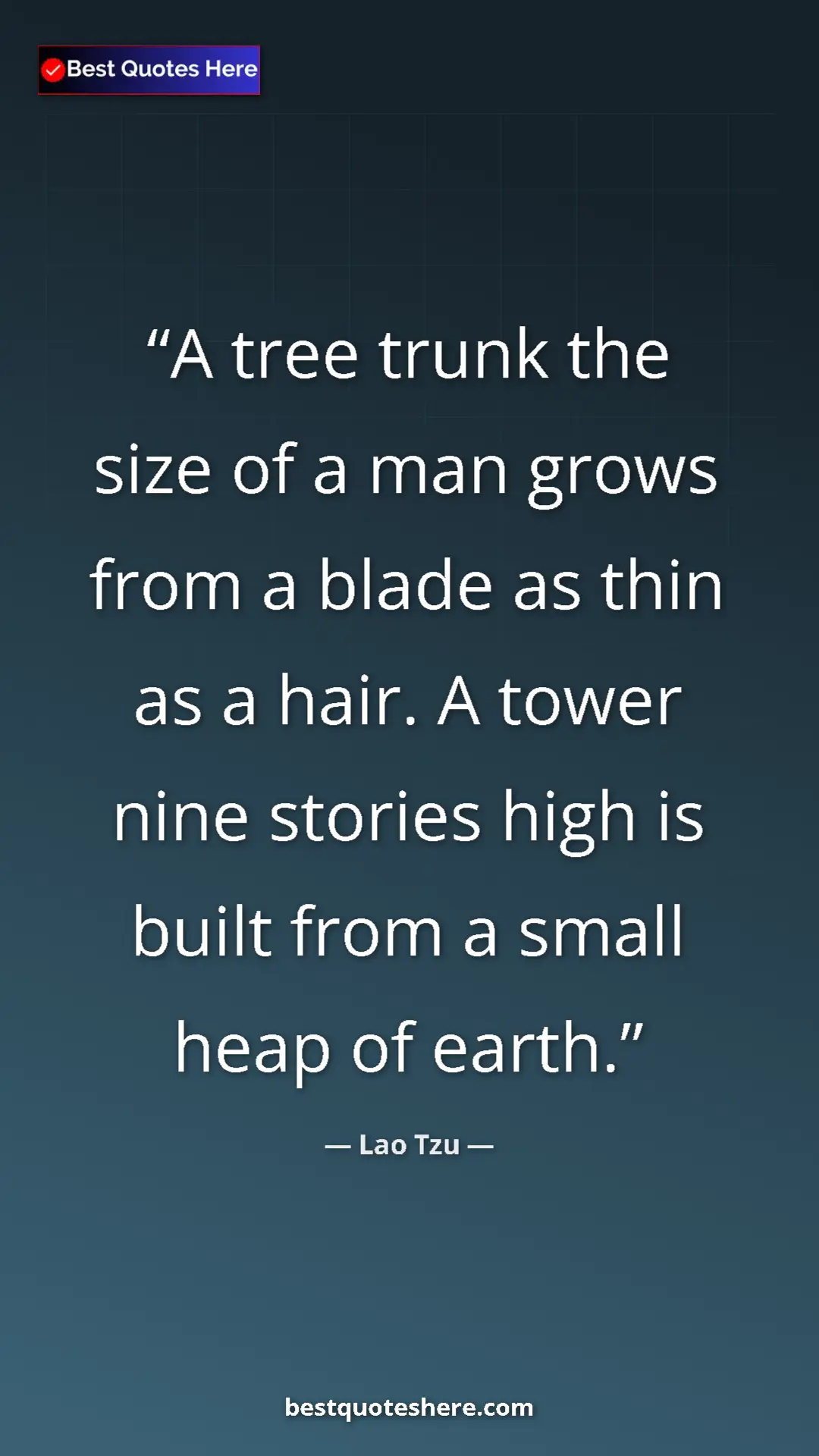 Pinterest quote poster by Lao Tzu: "A tree trunk the size of a man grows from a blade as thin..."