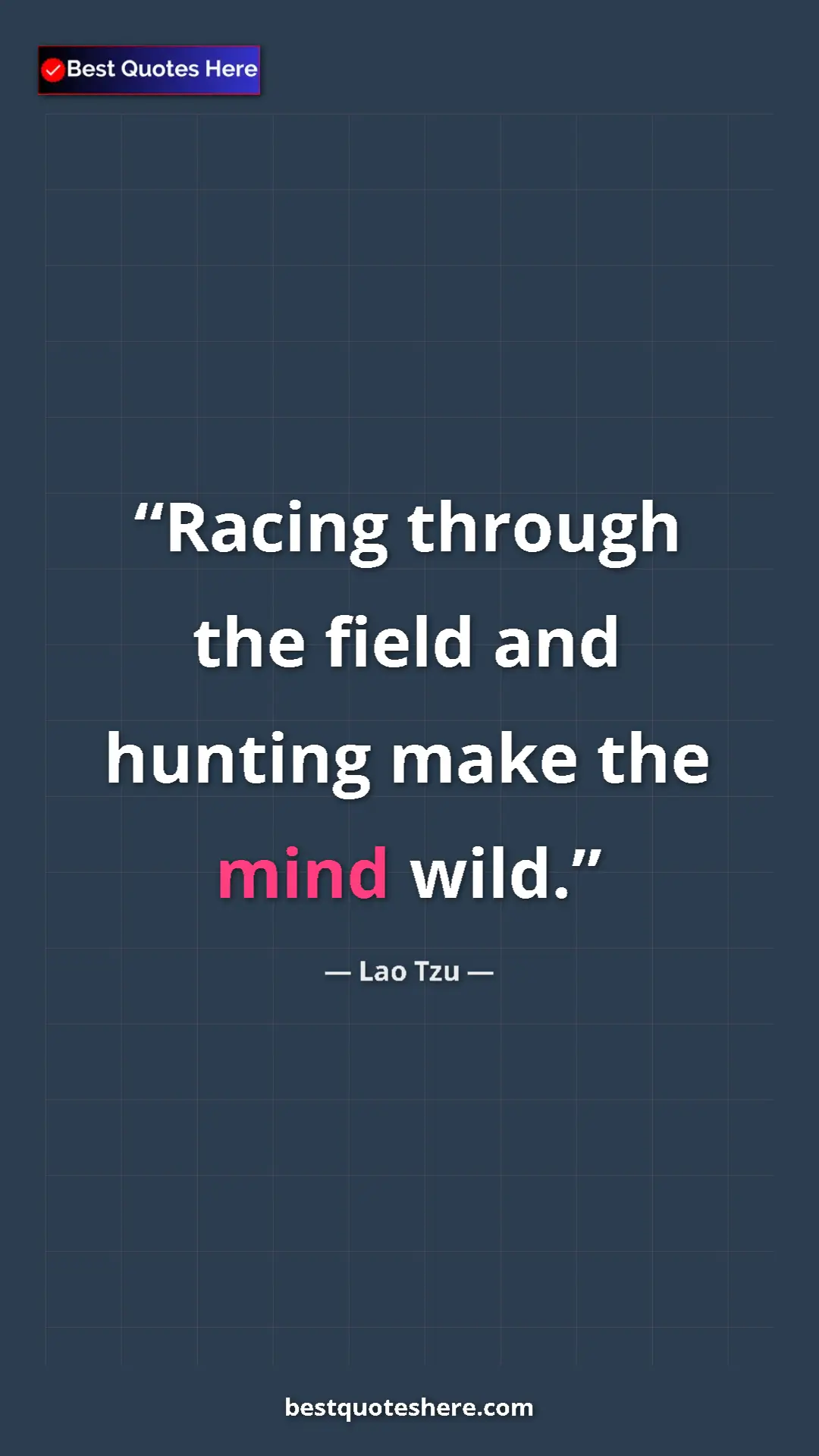 Pinterest quote poster by Lao Tzu: "Racing through the field and hunting make the mind wild."